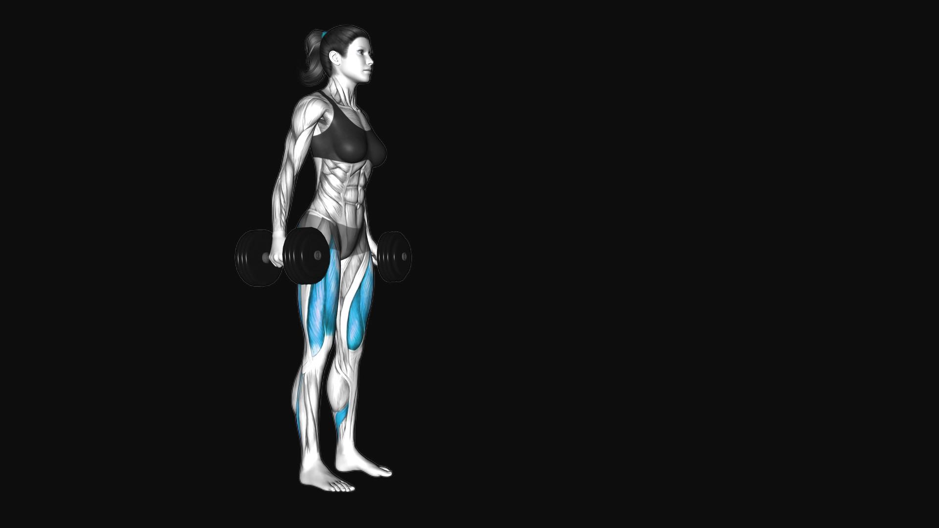 Dumbbell Lunge