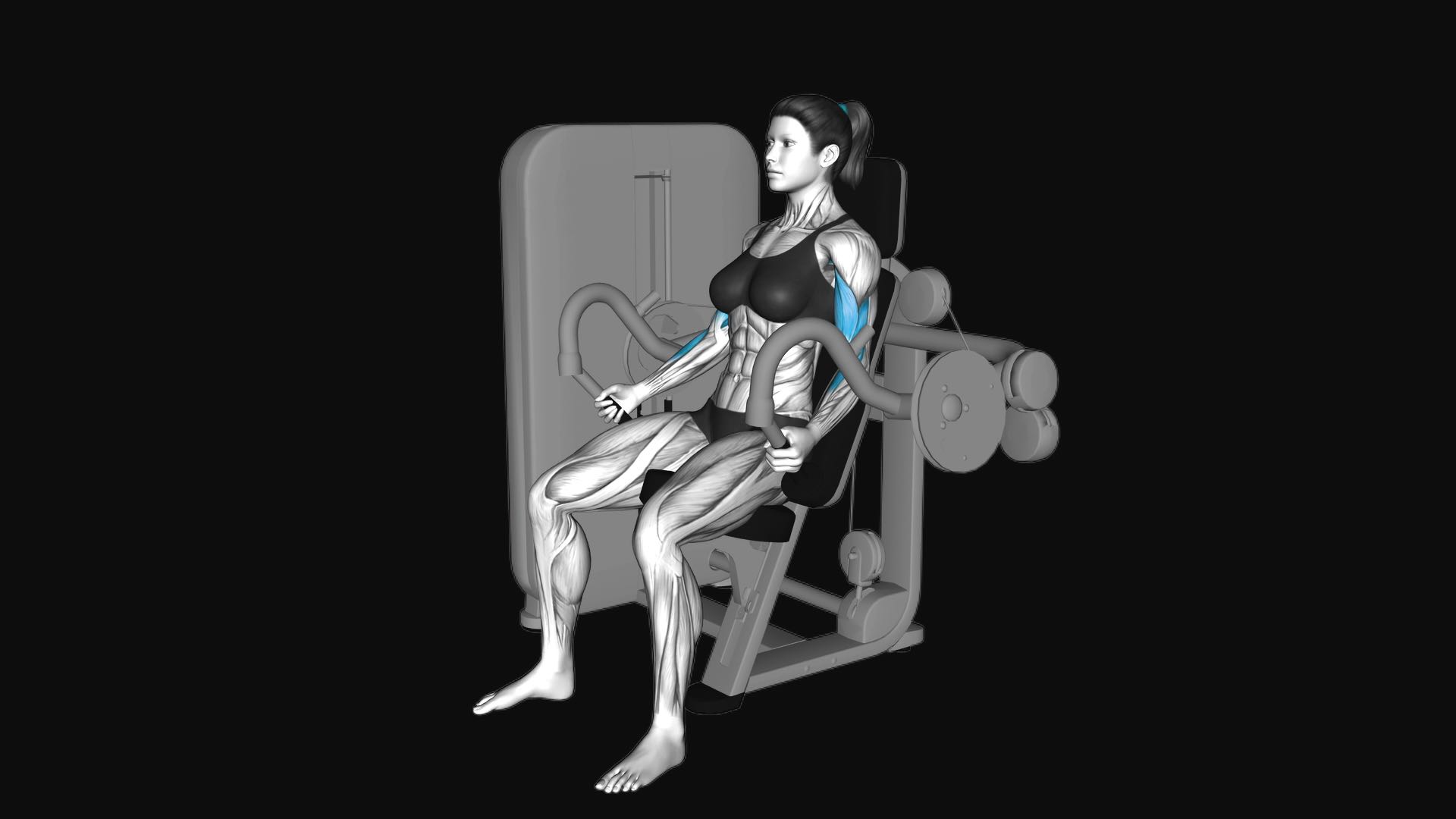 Lever Biceps Curl
