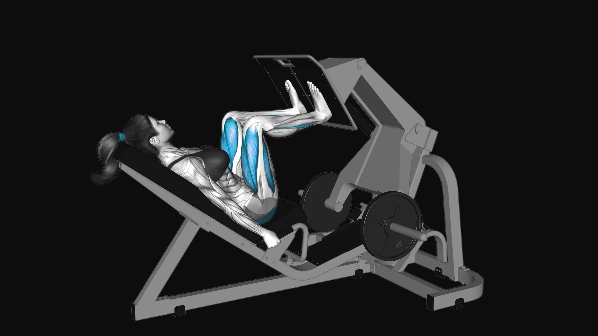 Lever Angled Leg Press