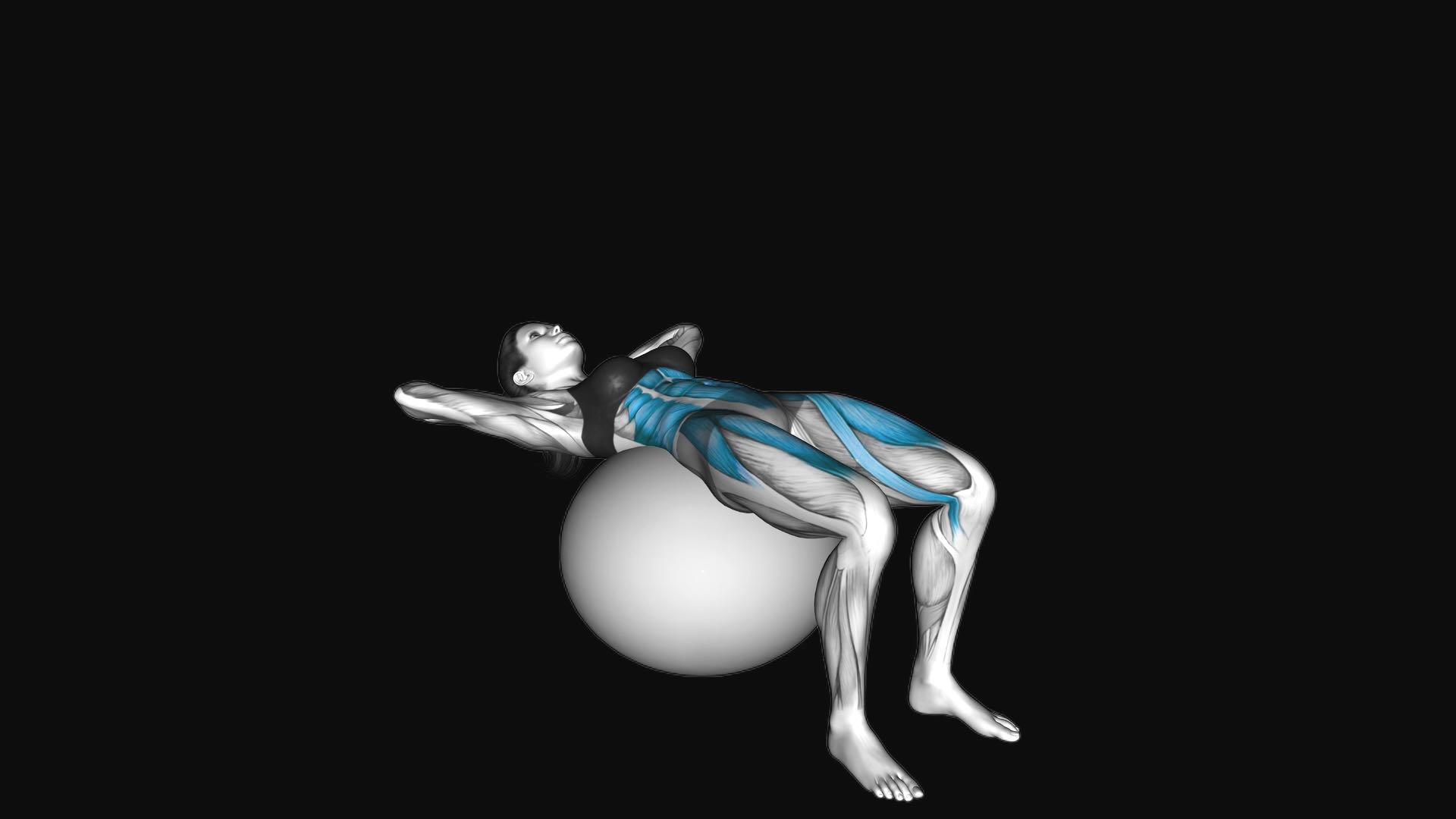Ball Sit-up (on stability ball)