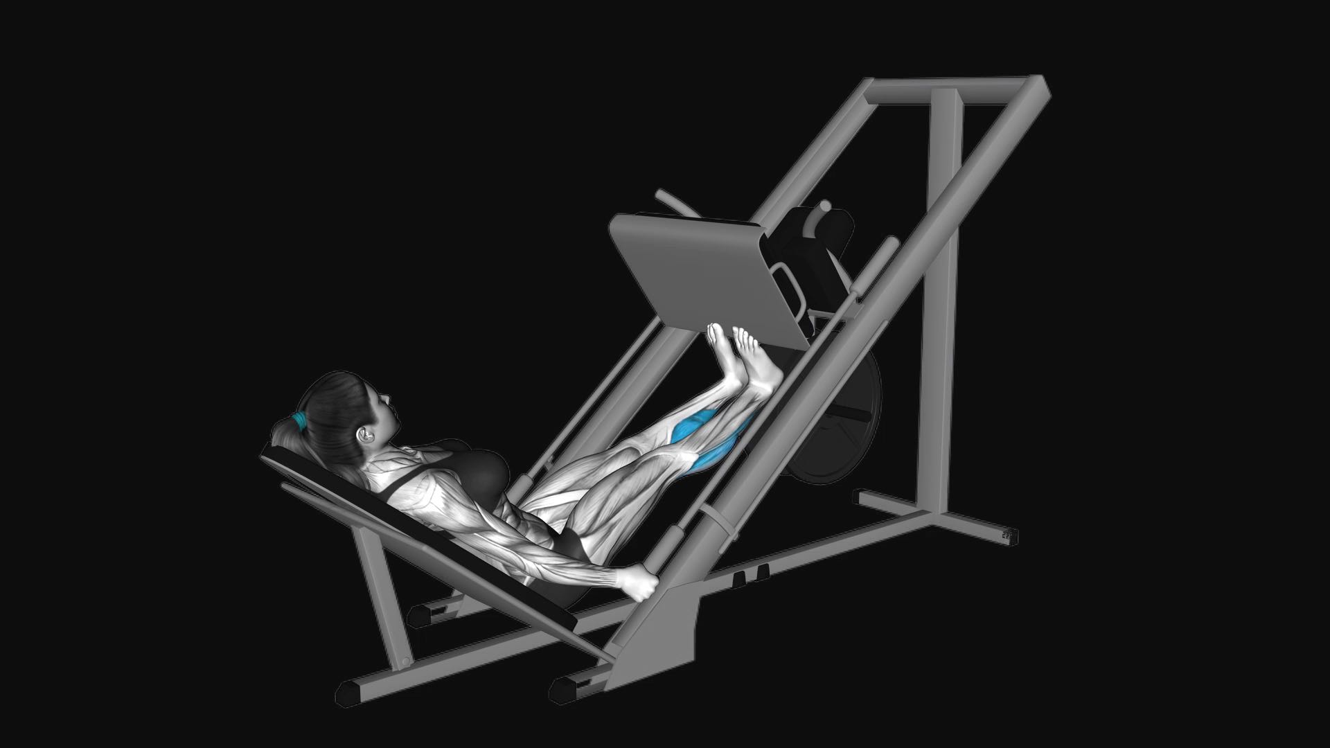Sled Calf Press on Leg Press Machine