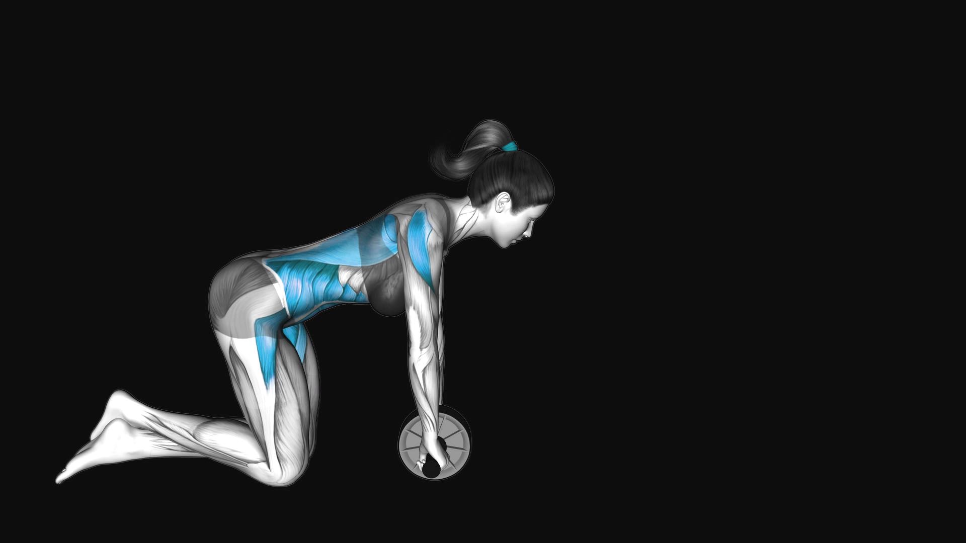 Ab Wheel Rollout