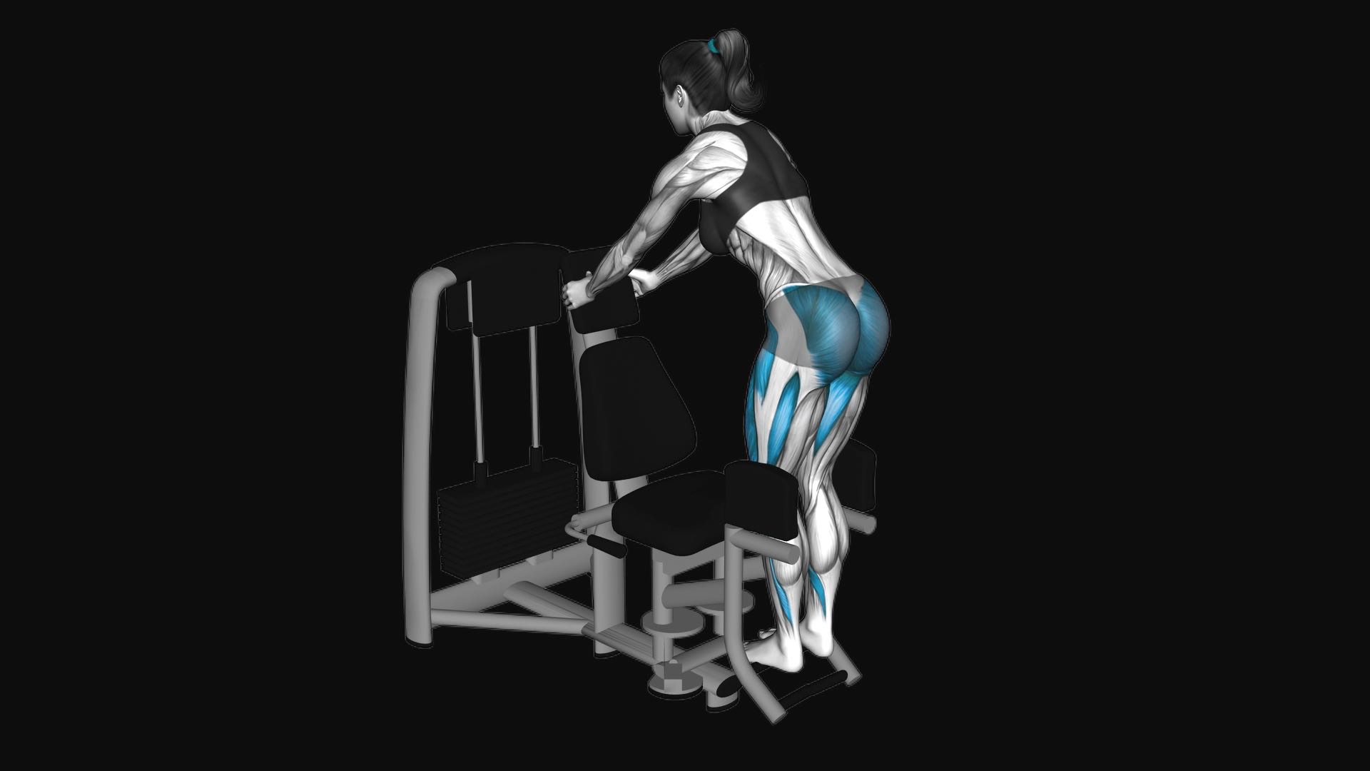 Lever Hip Abduction Squat