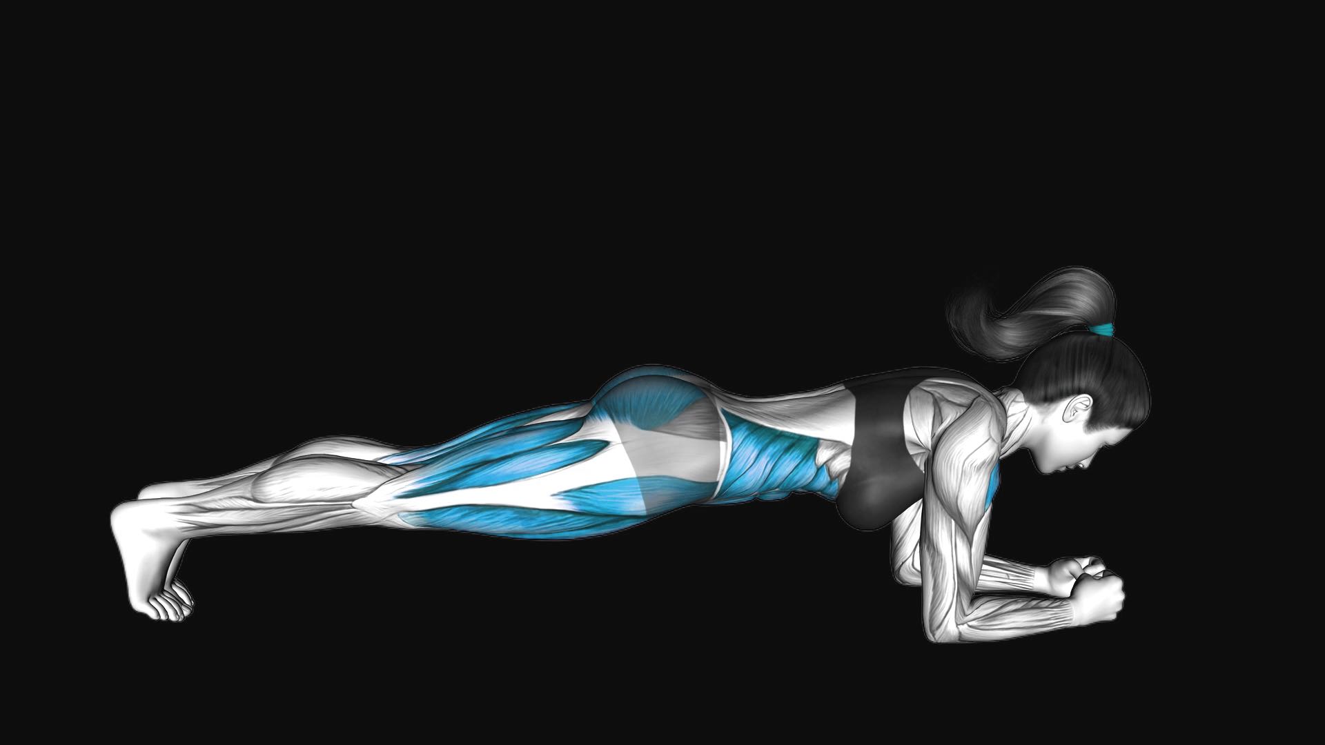 Front Plank with Leg Lift