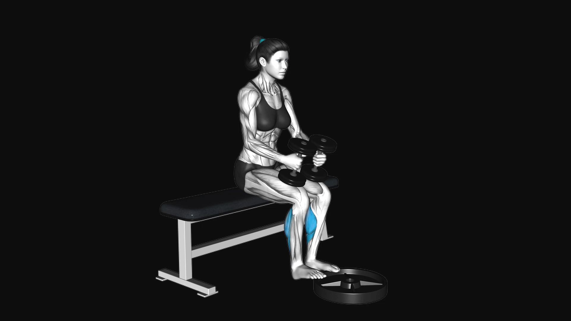 Dumbbell Seated Calf Raise