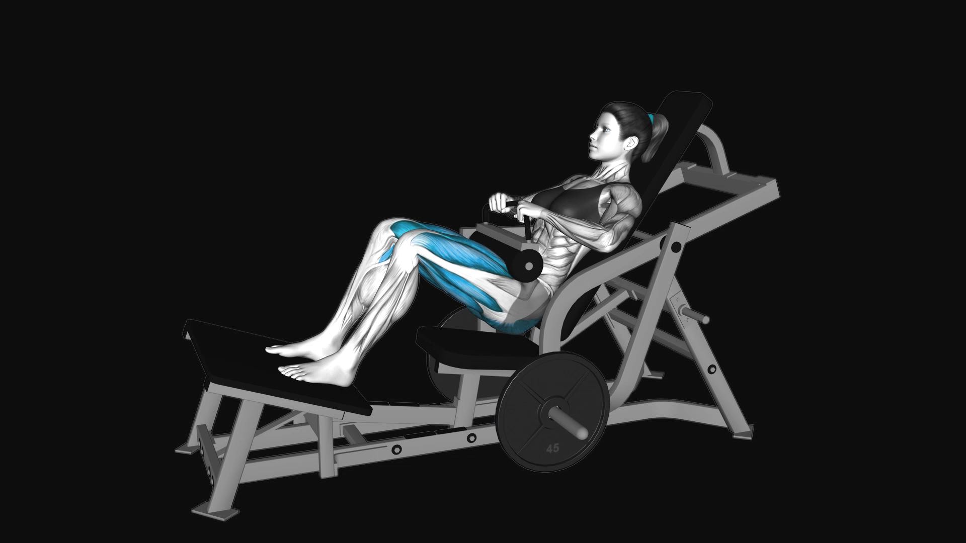 Lever Hip Thrust