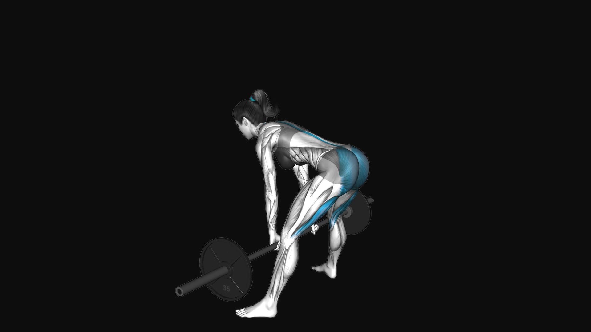 Barbell Sumo Romanian Deadlift