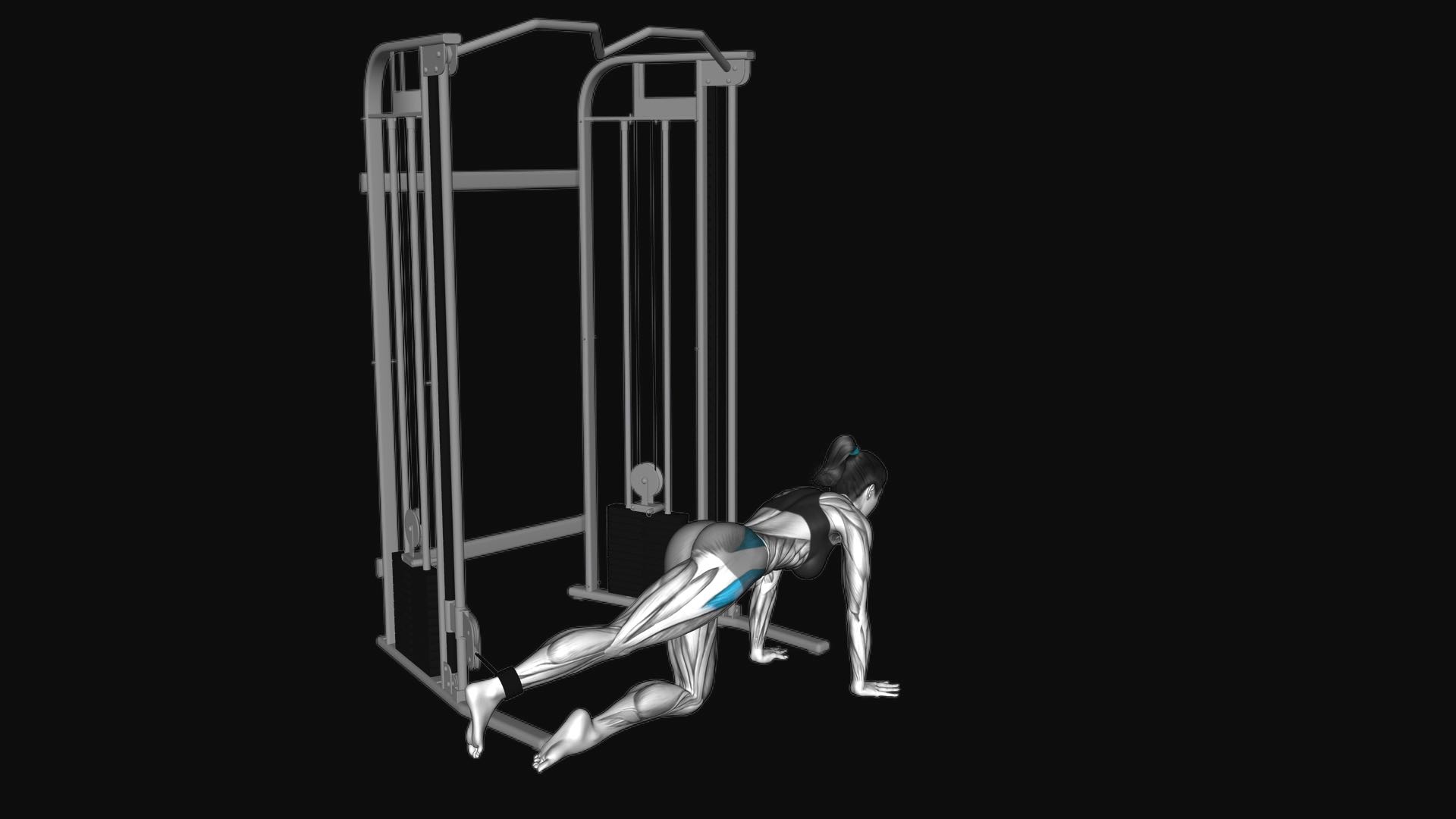 Cable Kneeling Hip Abduction