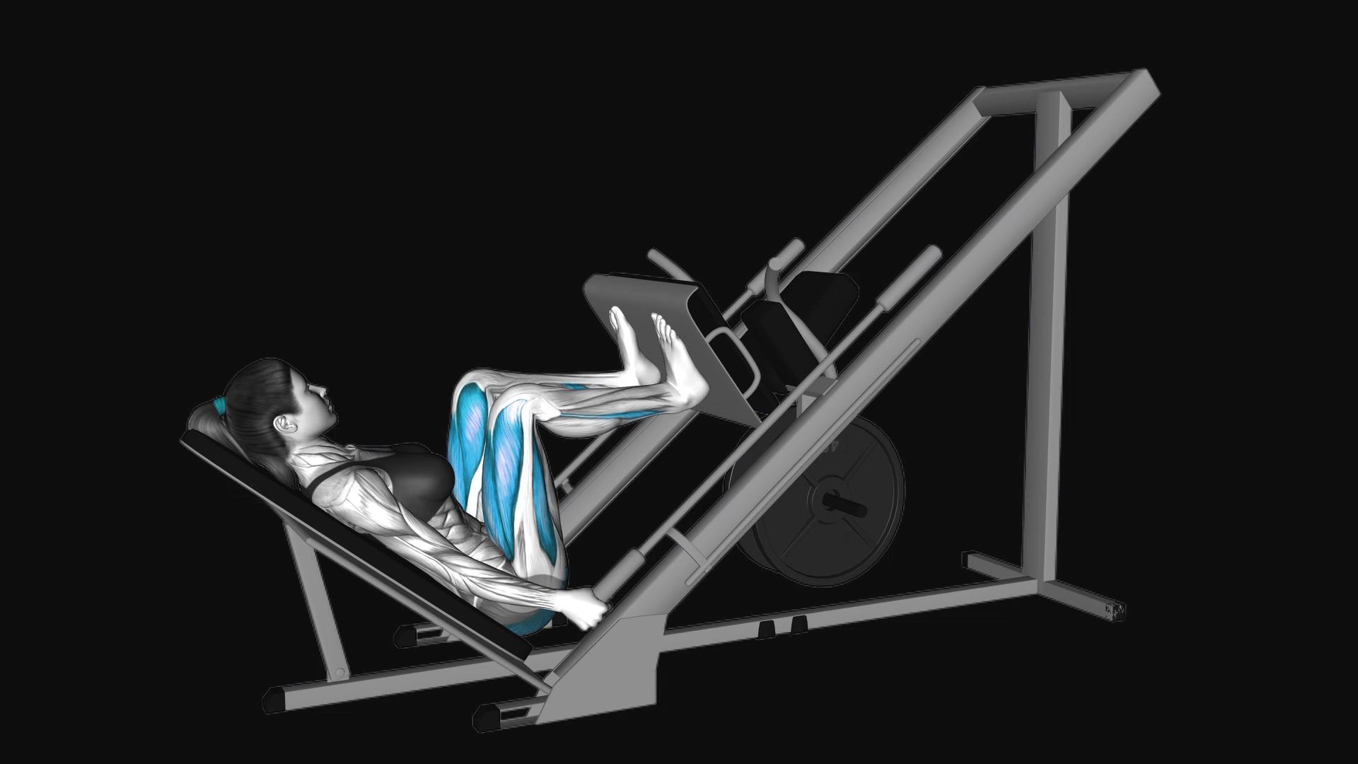 Sled 45 Degrees Leg Press