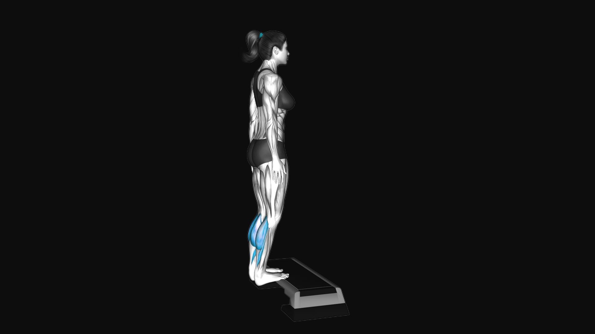 Bodyweight Standing Calf Raise on Step Box