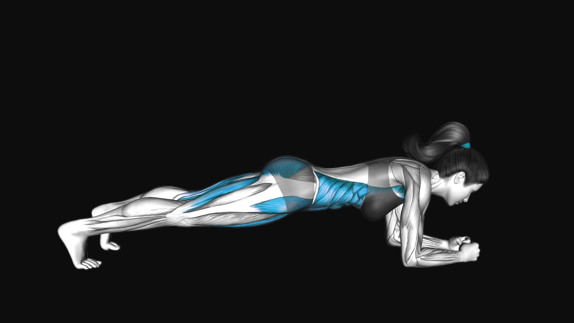Plank with Knee Tap