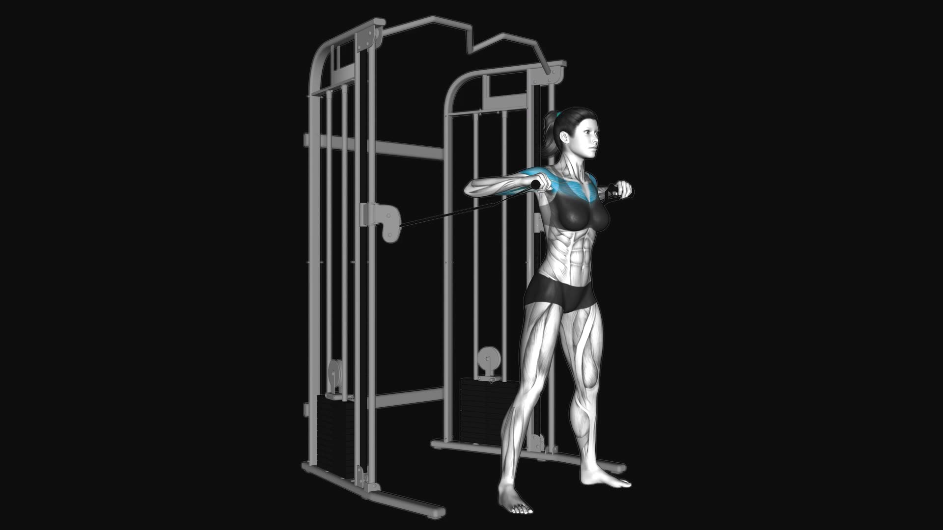 Cable Standing Chest Press