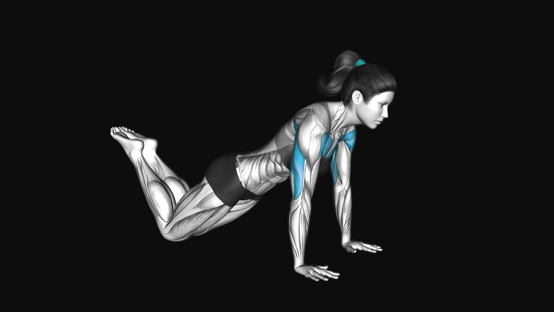 Push Up On Knees