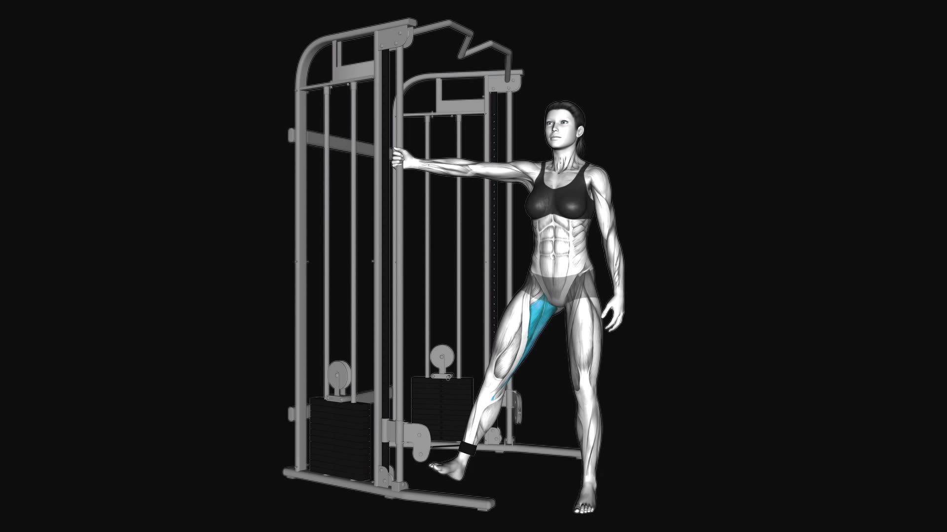 Cable Hip Adduction