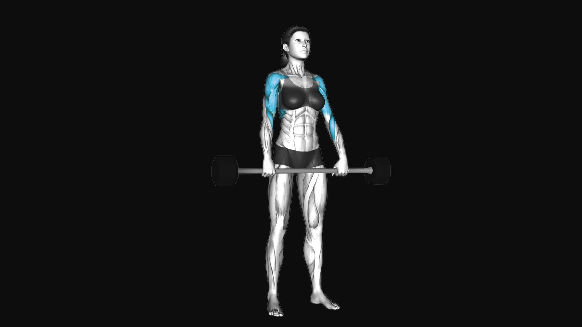 Barbell Shoulder Grip Upright Row