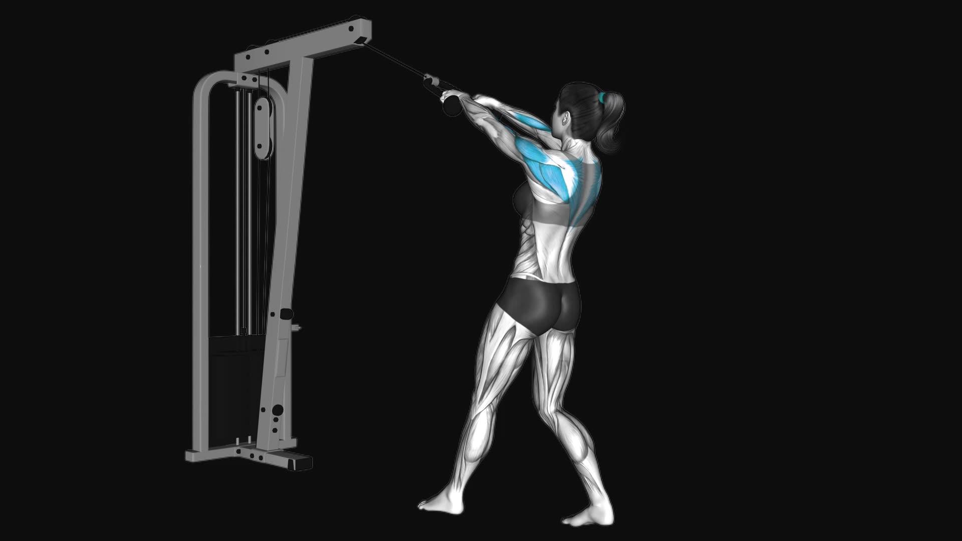 Cable Standing Rear Delt Row With Rope