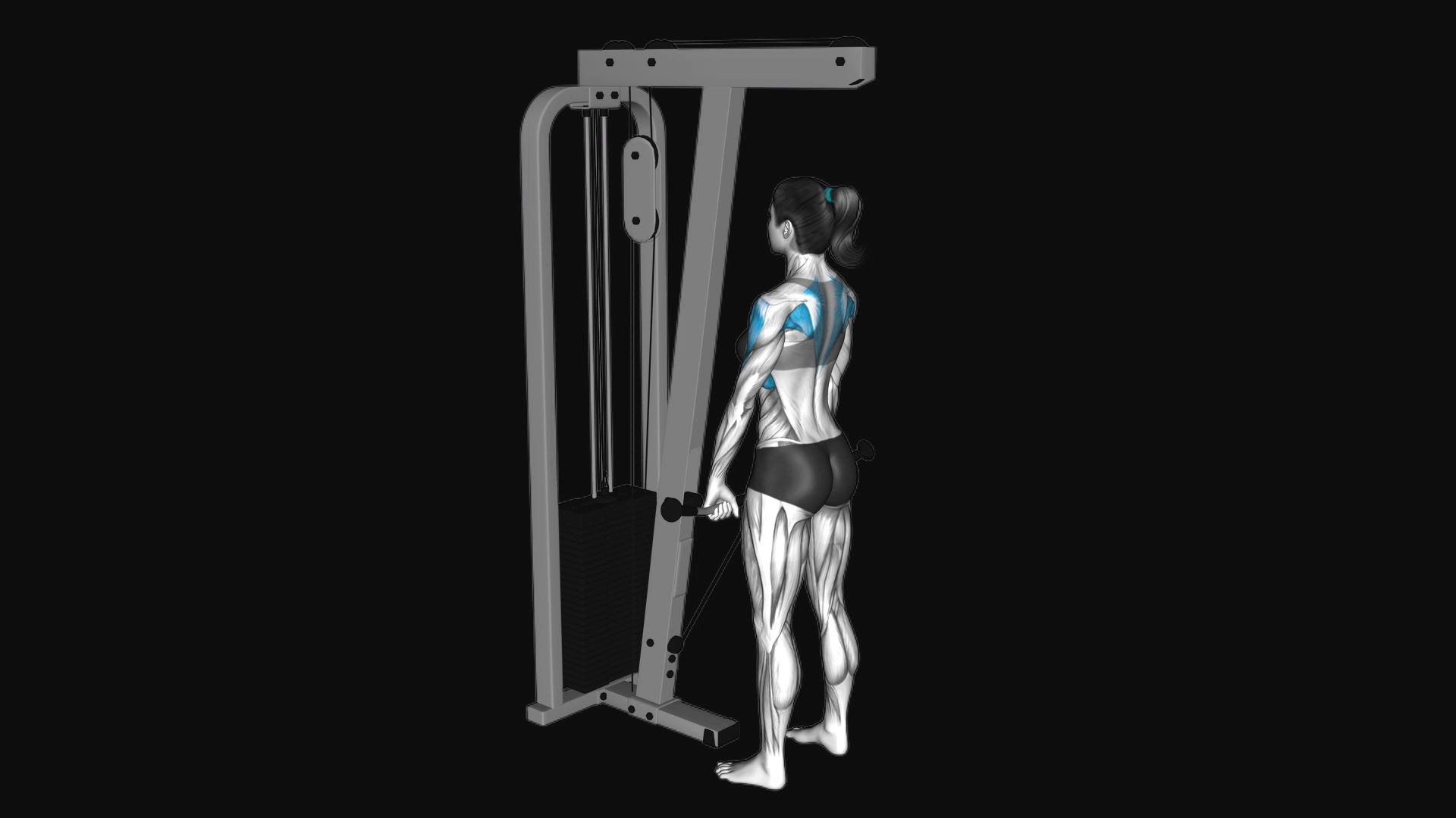 Cable Upright Row