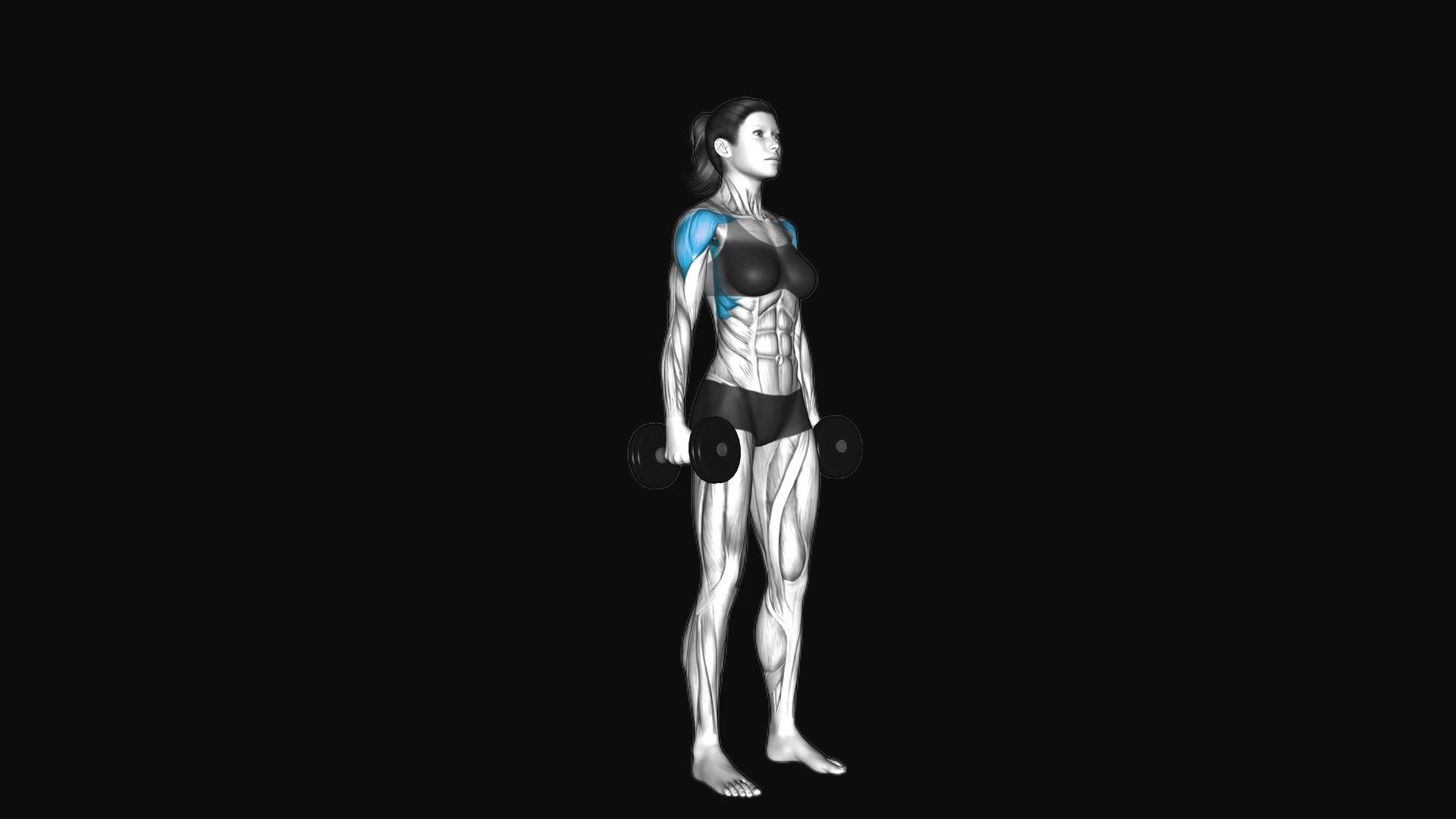 Dumbbell Standing Lateral Raise