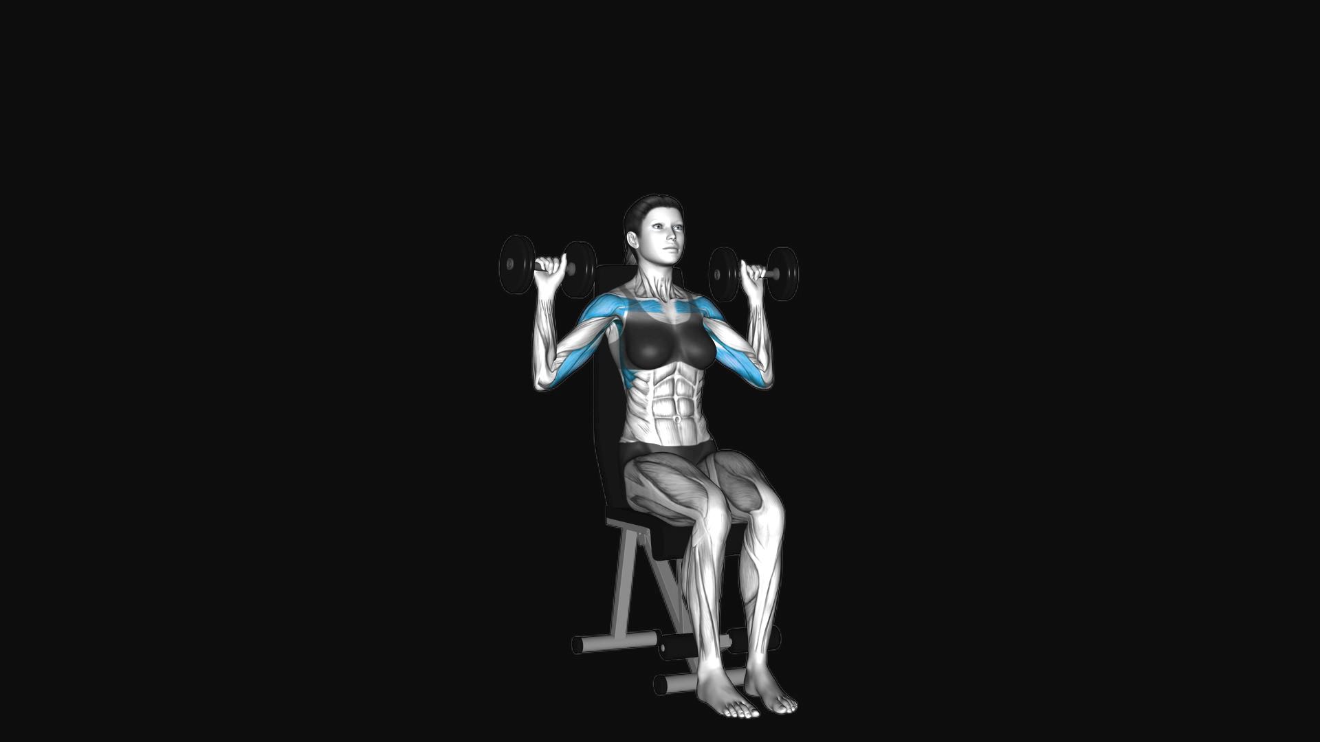 Dumbbell Seated Shoulder Press