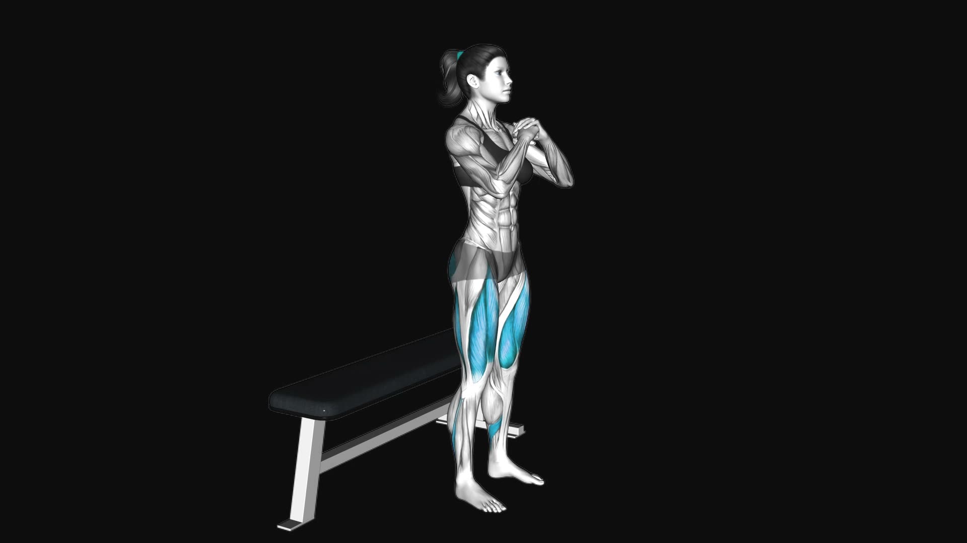 Bodyweight Bench Squat