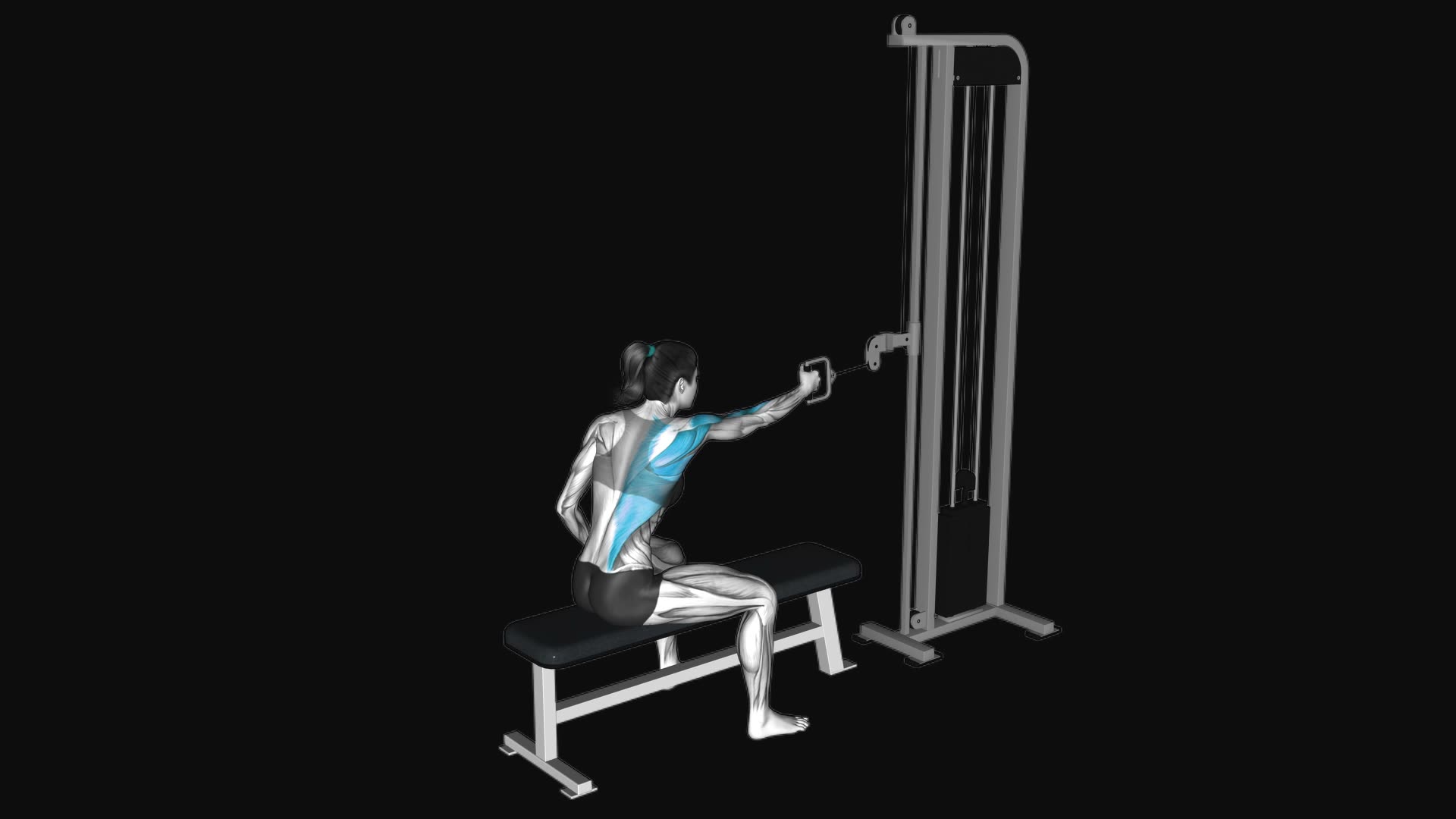 Cable Seated Single Arm Row