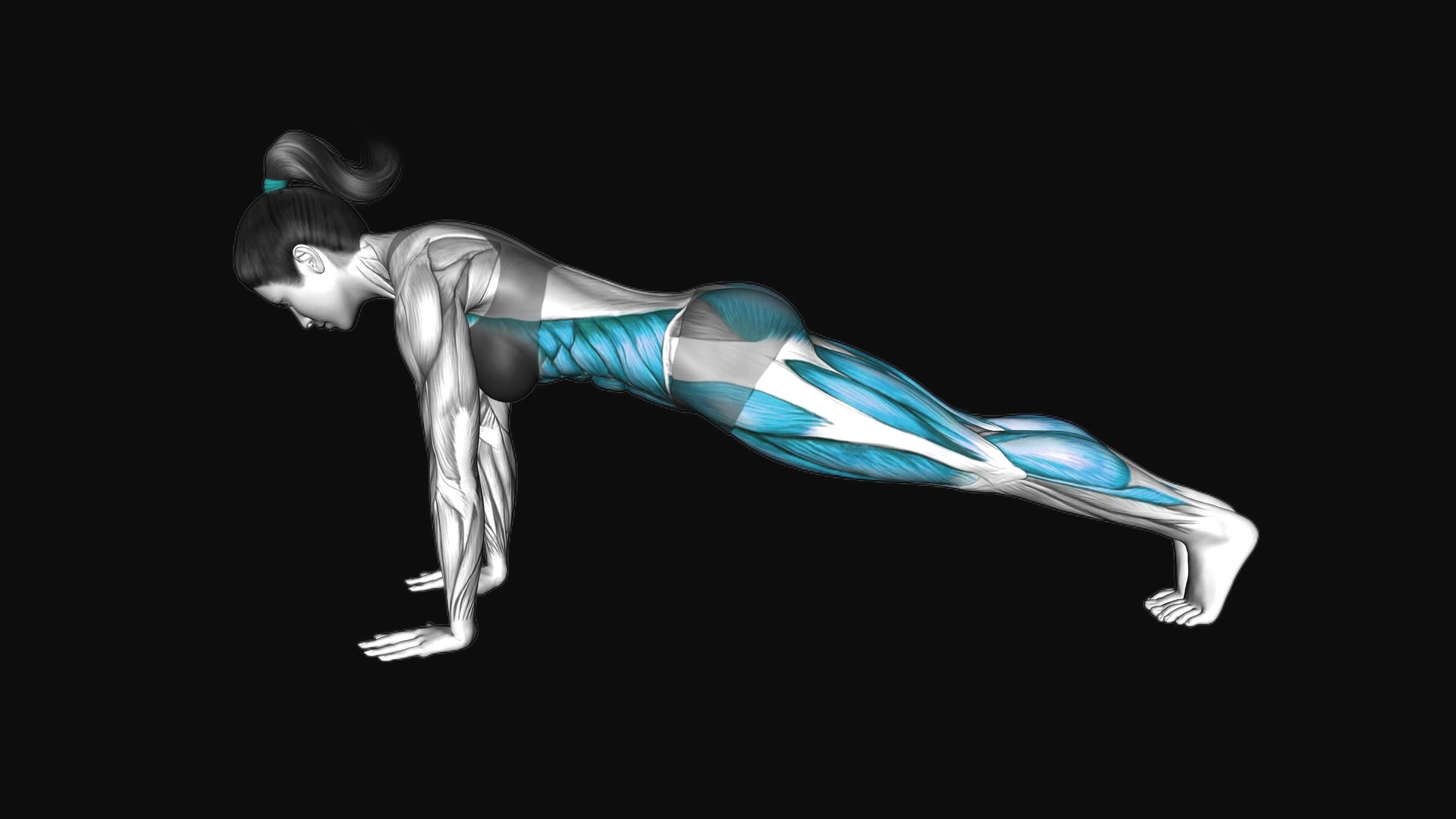 High Plank Knee Drop