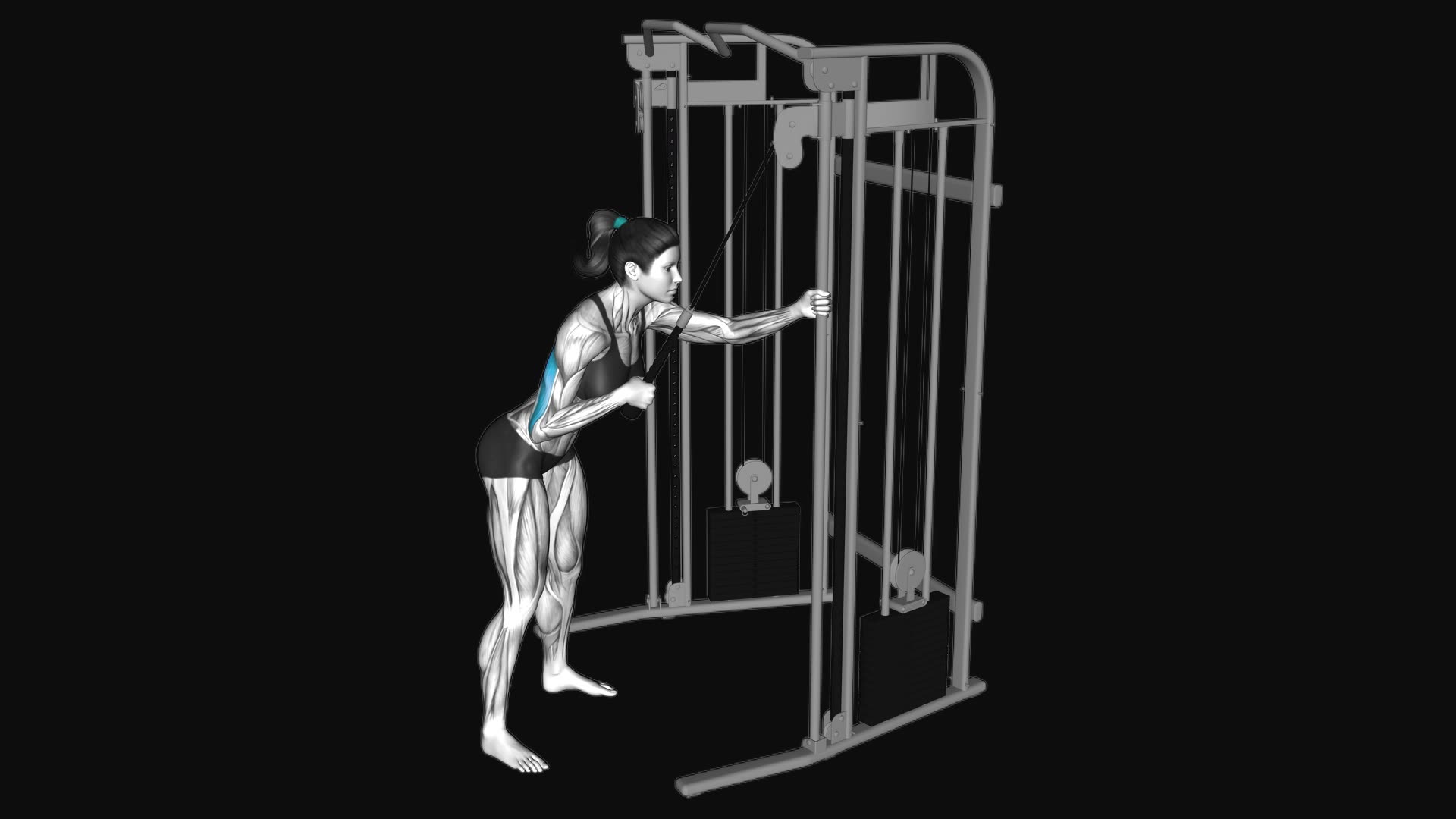 Cable Single Arm Triceps Pushdown (rope attachment)