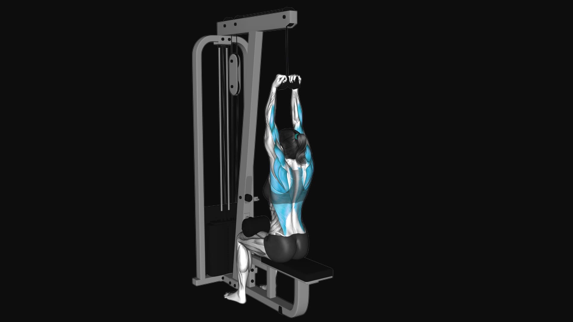 Cable Lateral Pulldown with Mag Grip