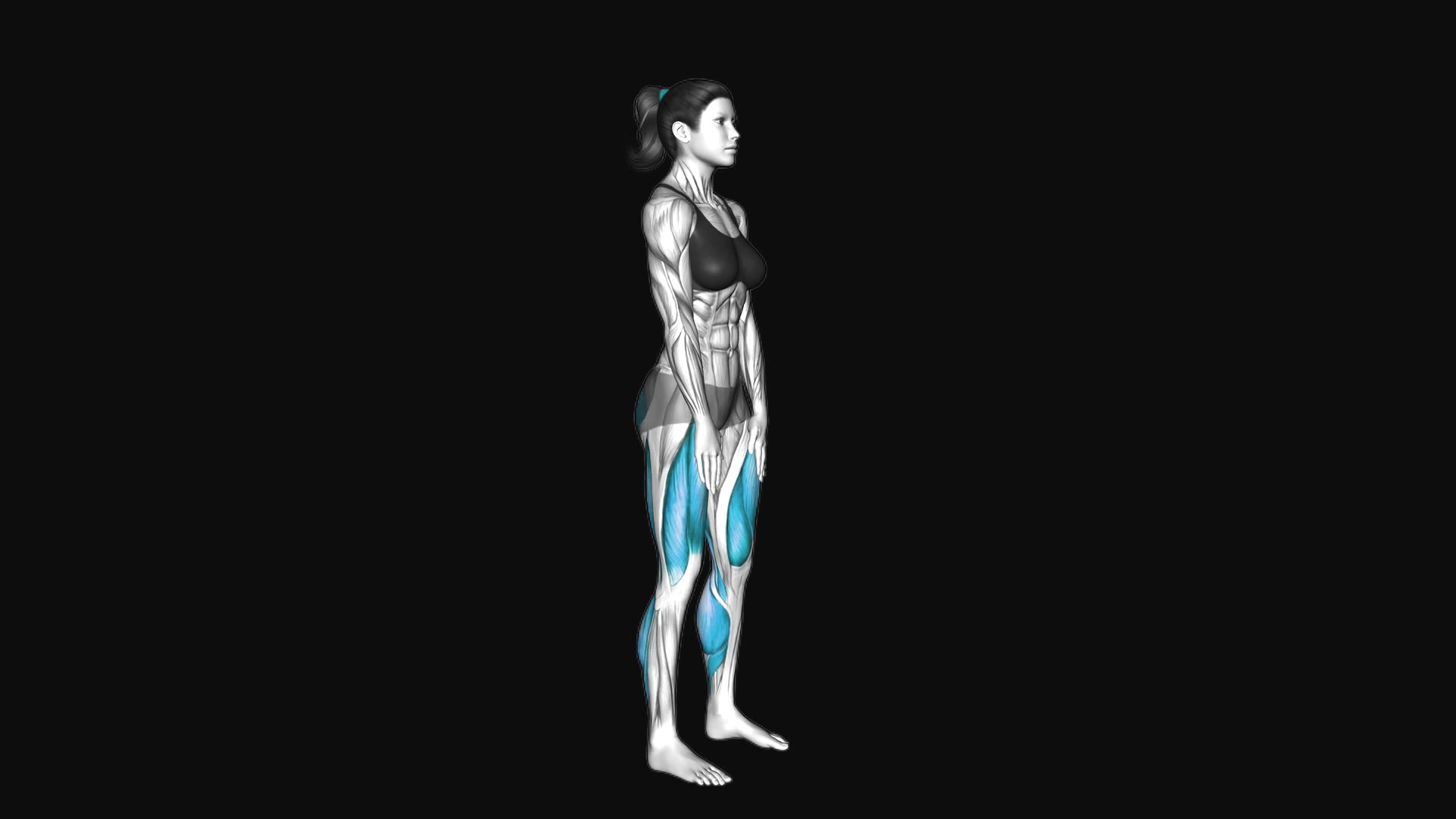 Bodyweight Deadlift Shin Tap