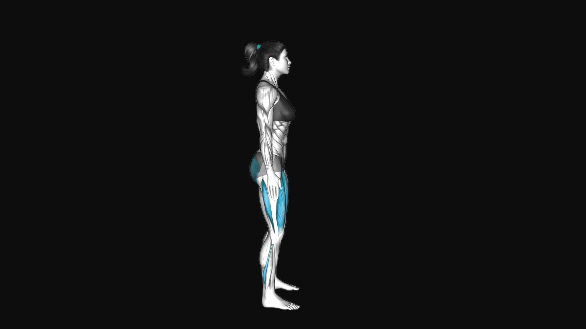 Bodyweight Arms Out Squat