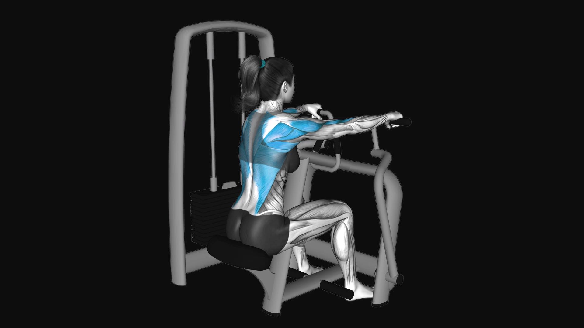Lever Seated Row