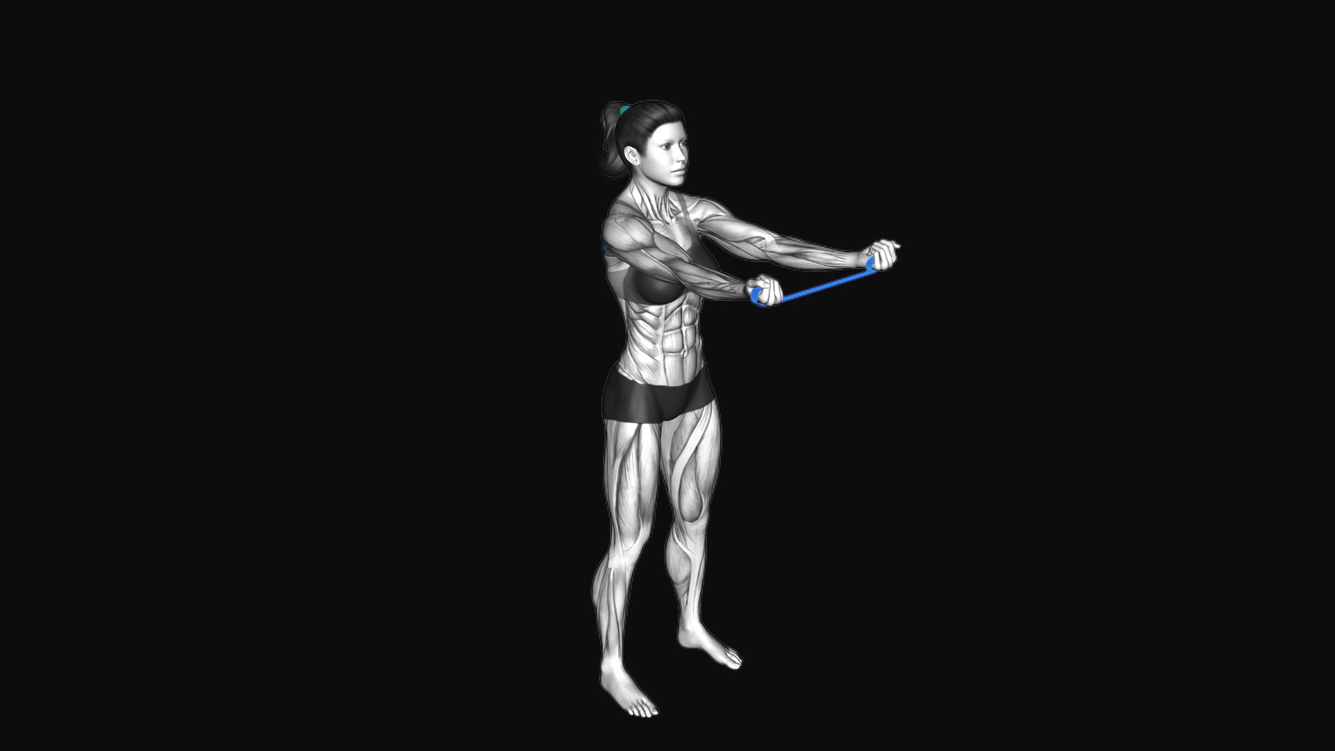 Resistance Band Supinated Grip Pull Apart