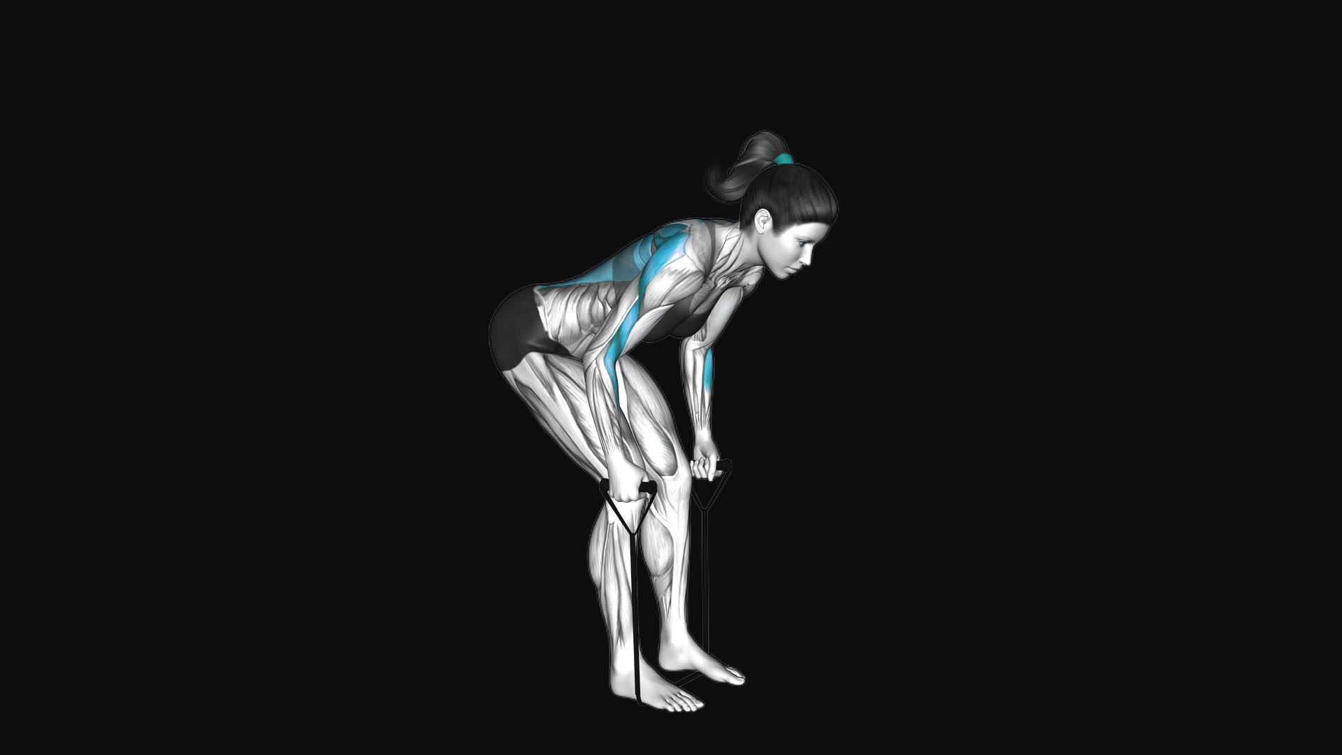 Band Rear Delt Row