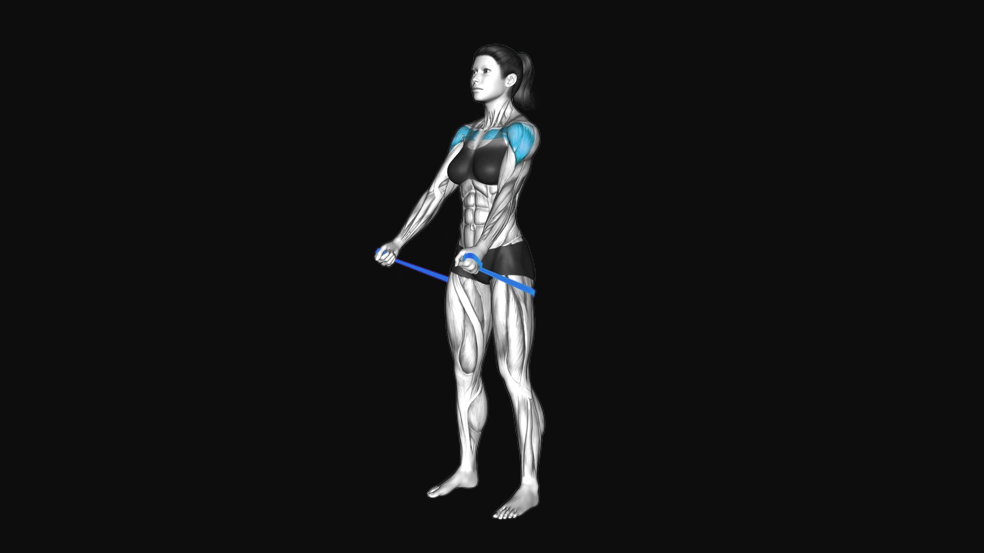 Resistance Band Neutral Grip Front Raise