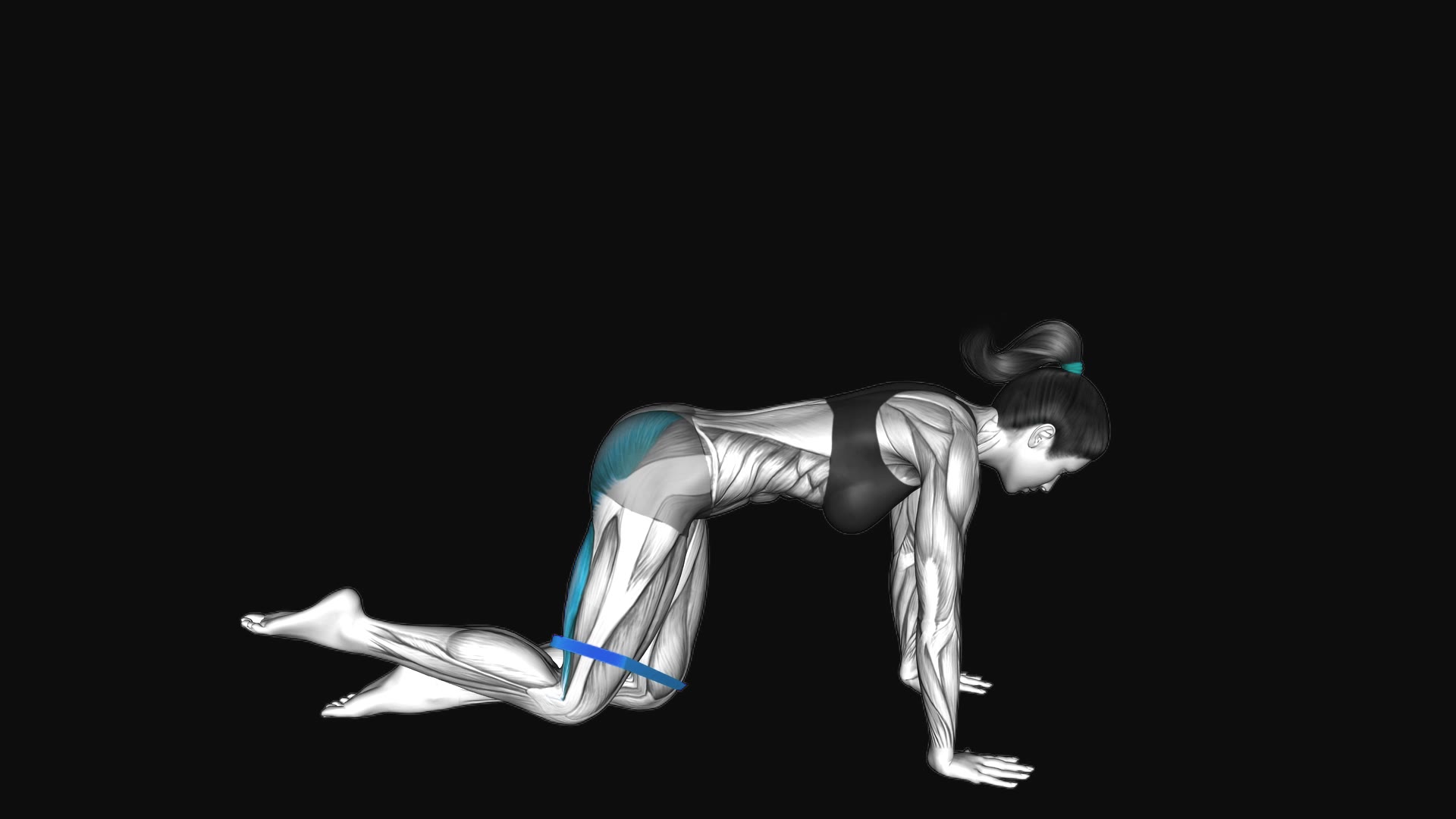 Resistance Band Bent Leg Kickback (Kneeling)