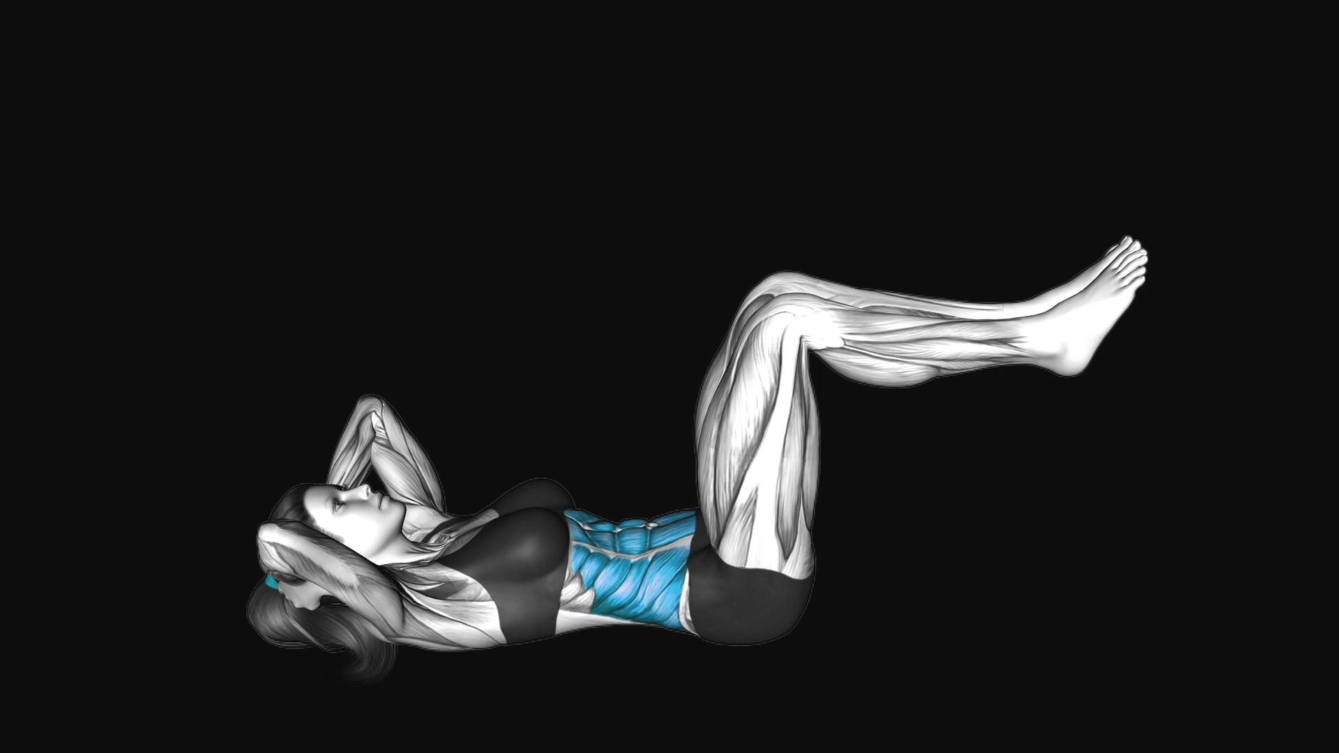 Sit-Up