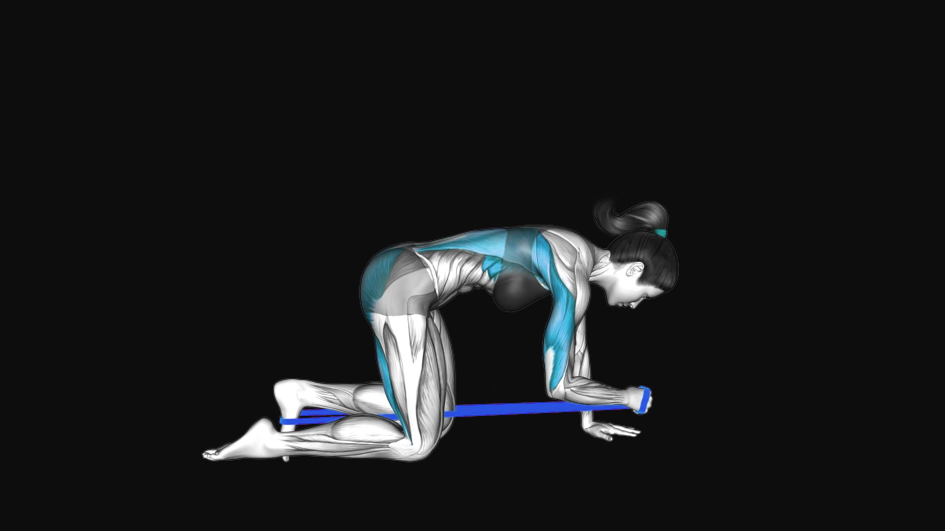 Resistance Band Bird Dog