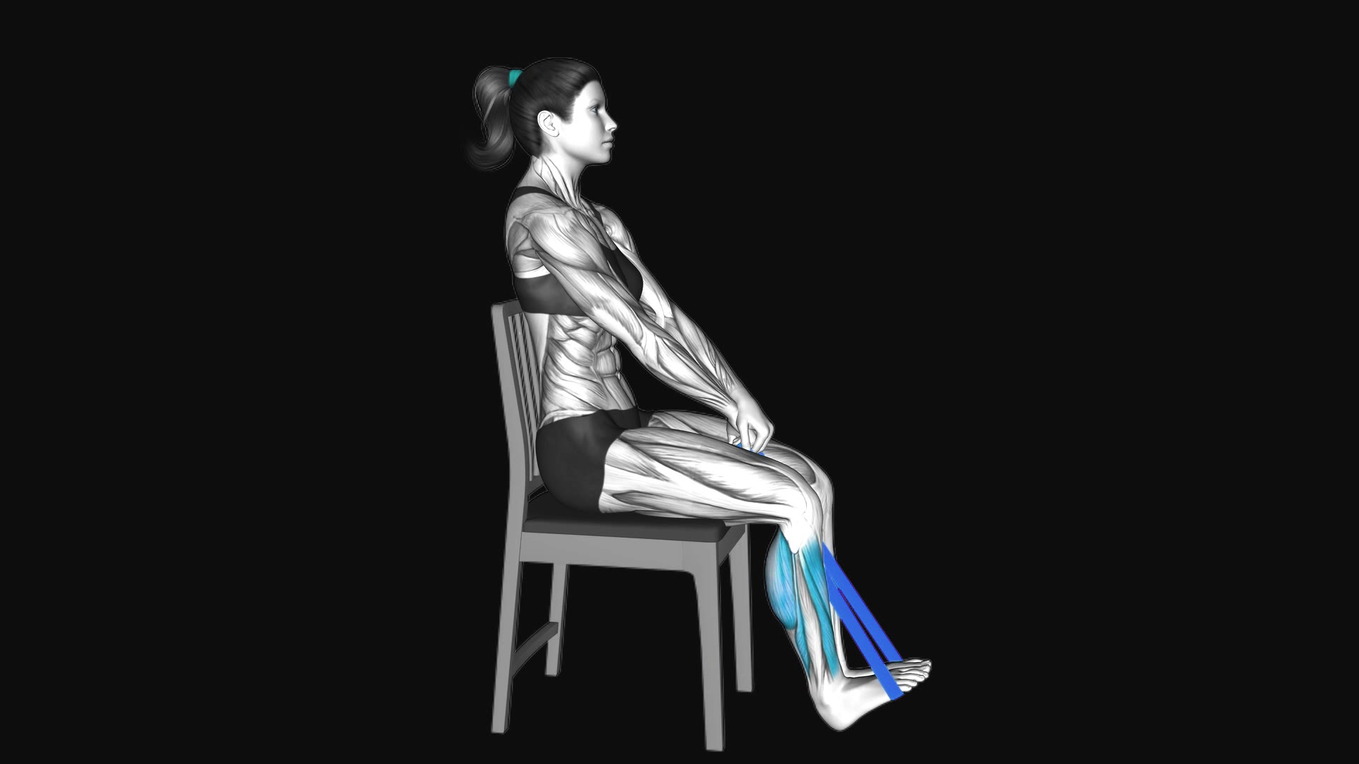 Resistance Band Calf Press Sitting on Chair