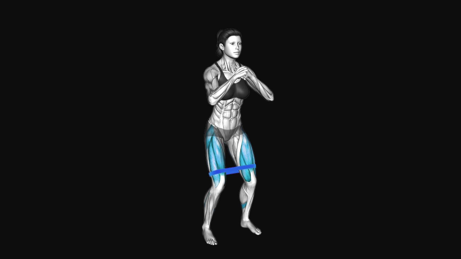 Resistance Band Squat