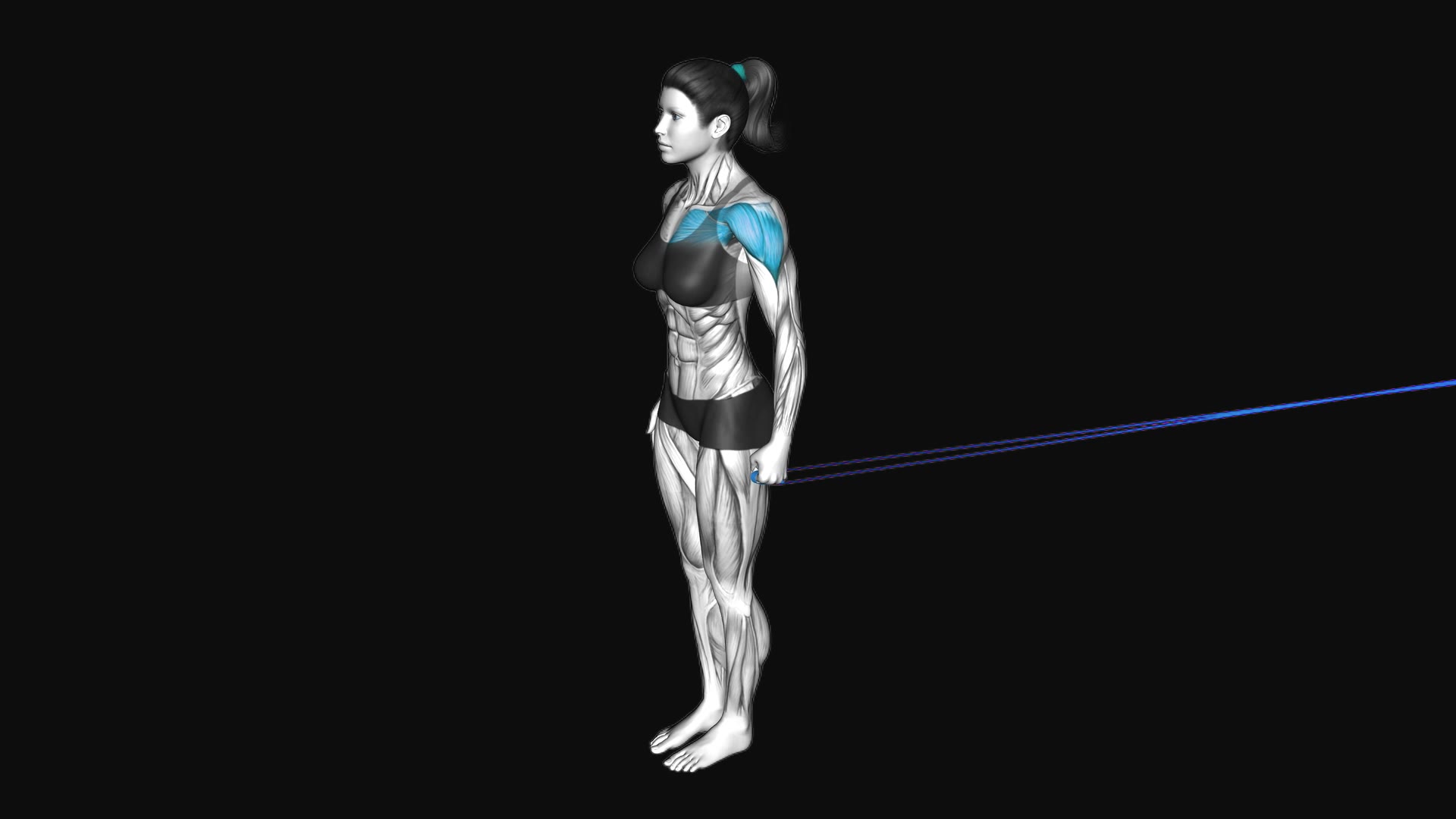 Resistance Band Standing Single Arm Shoulder Flexion