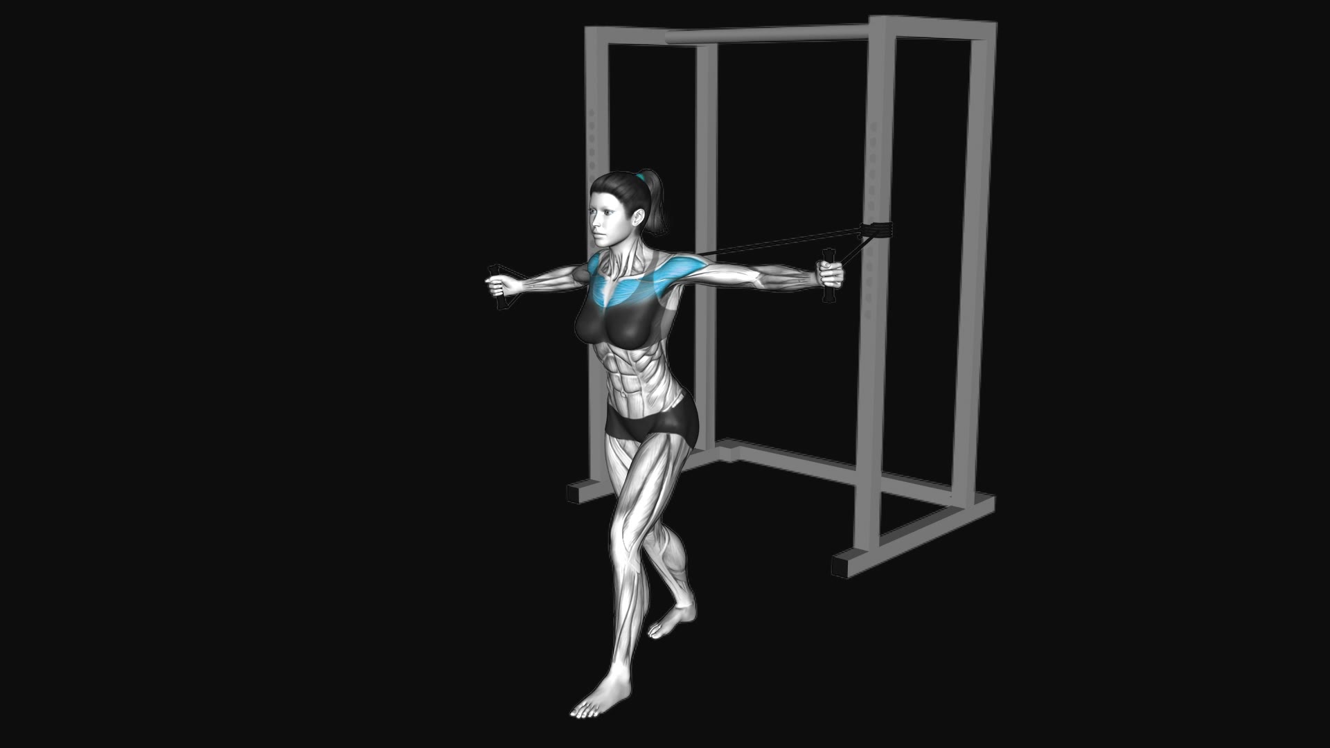 Band Alternate Low Chest Fly