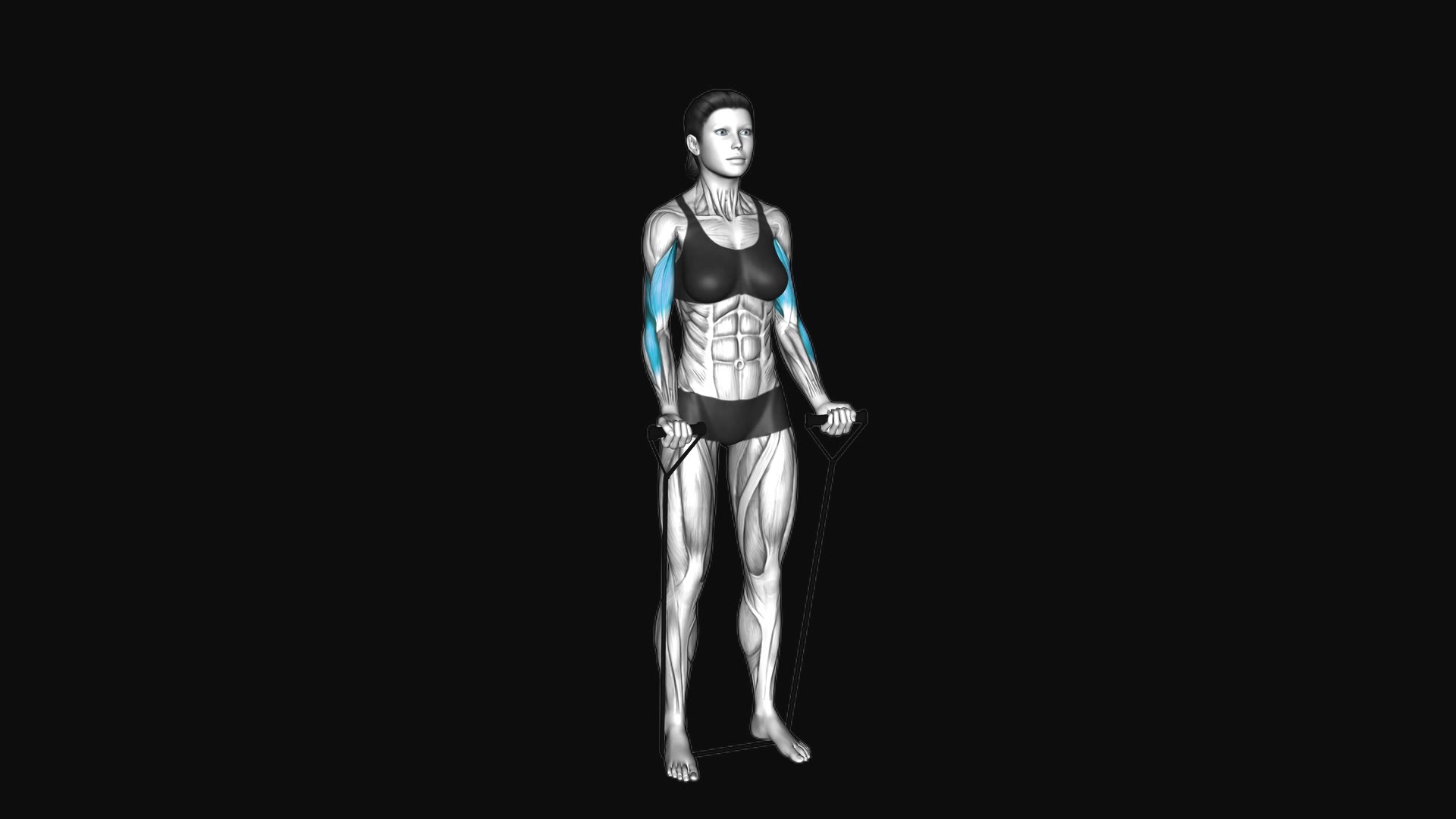 Band Standing Biceps Curl