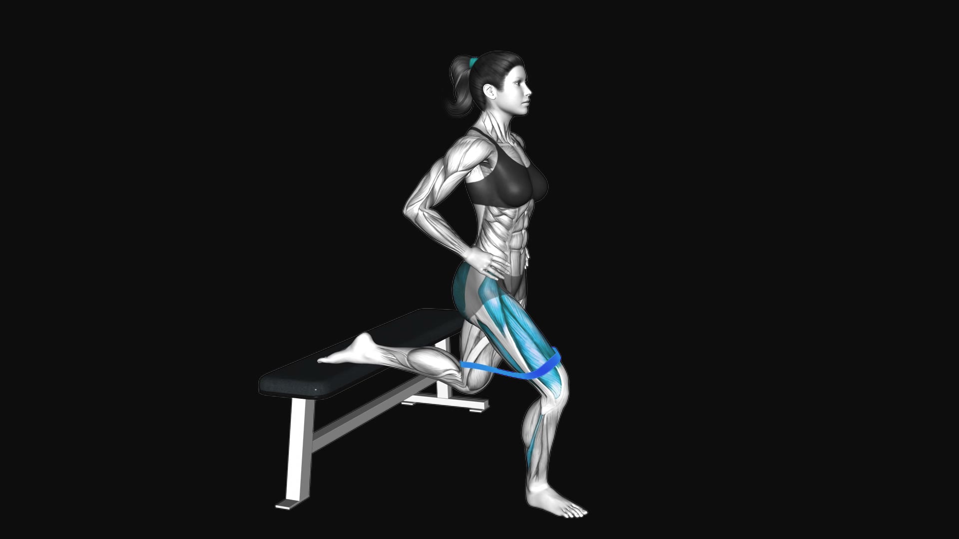Resistance Band Bulgarian Squat