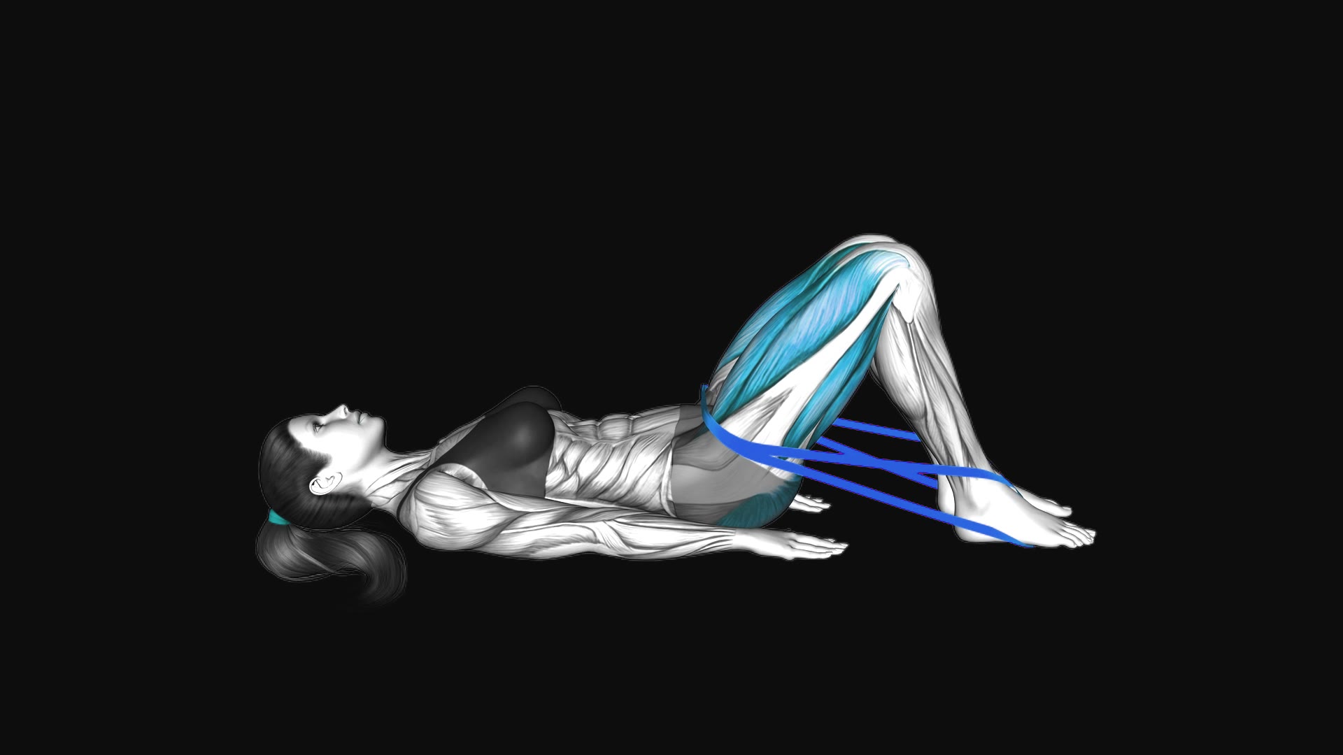 Resistance Band Hip Thrust (Version 2)