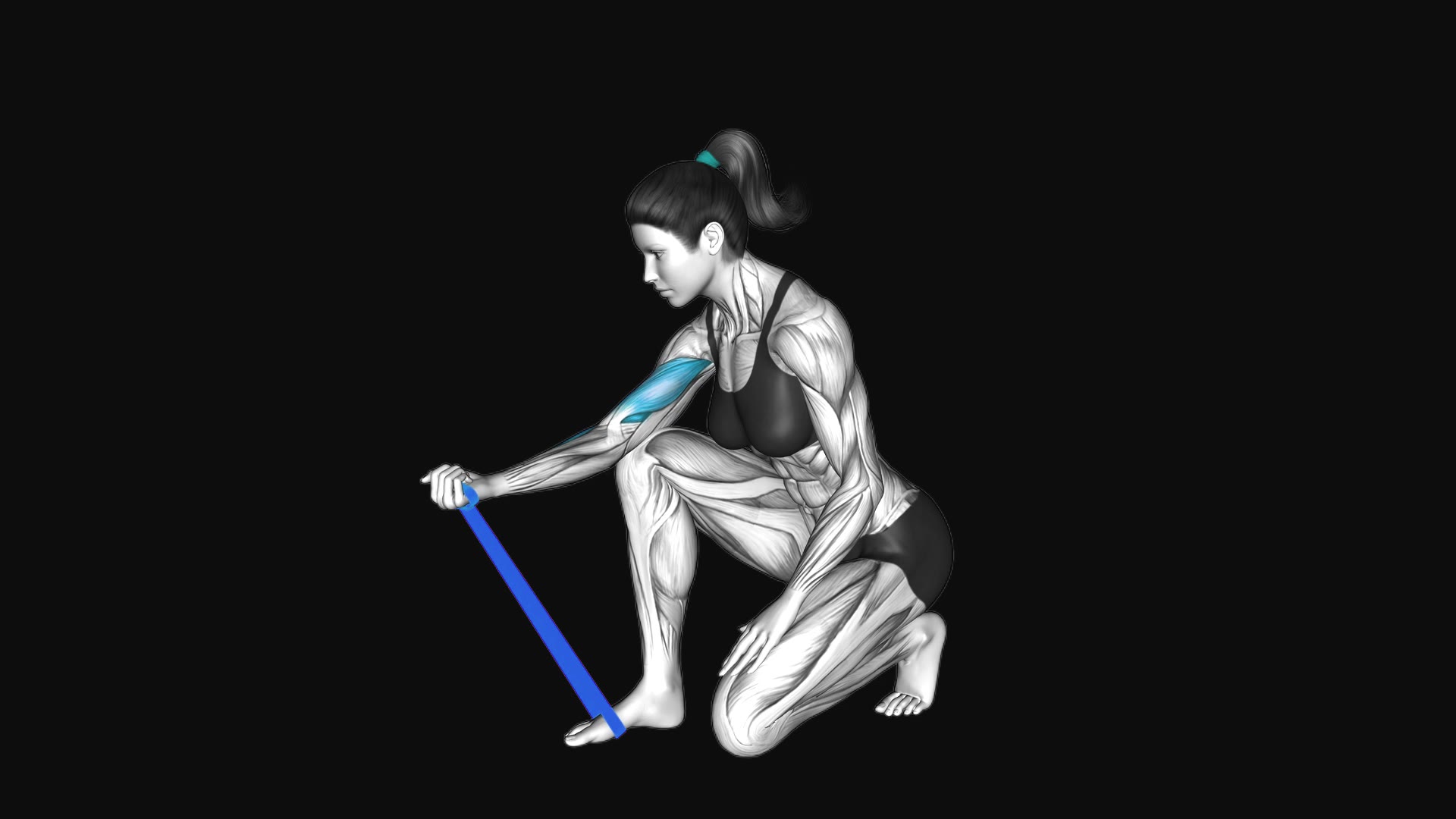 Resistance Band Concentration Curl