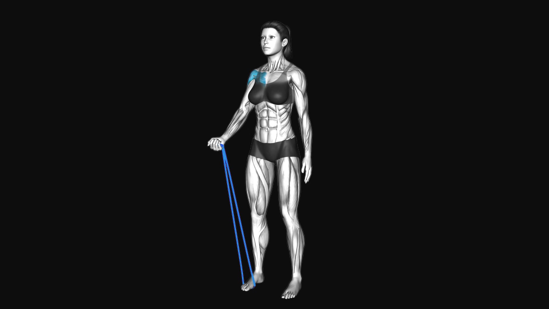 Resistance Band Single Arm Fly