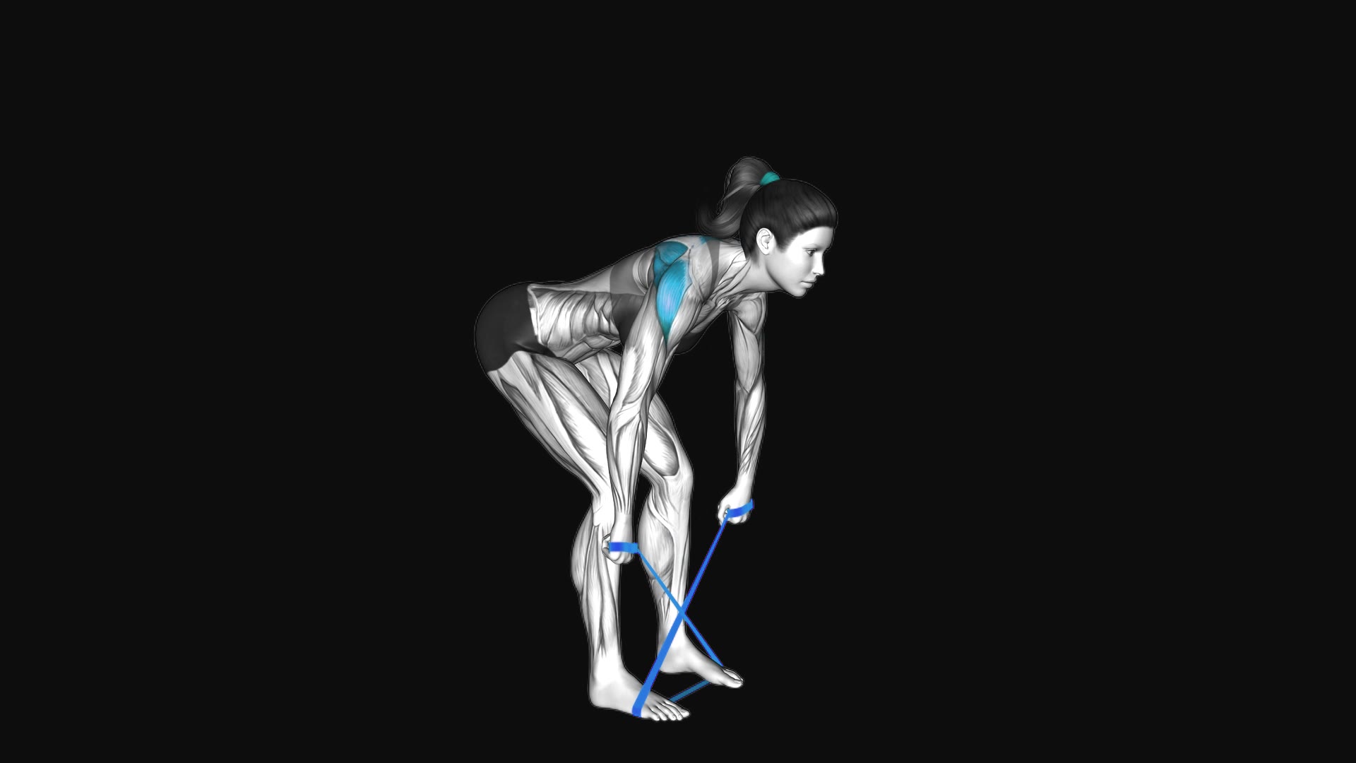 Resistance Band Bent over Reverse Fly