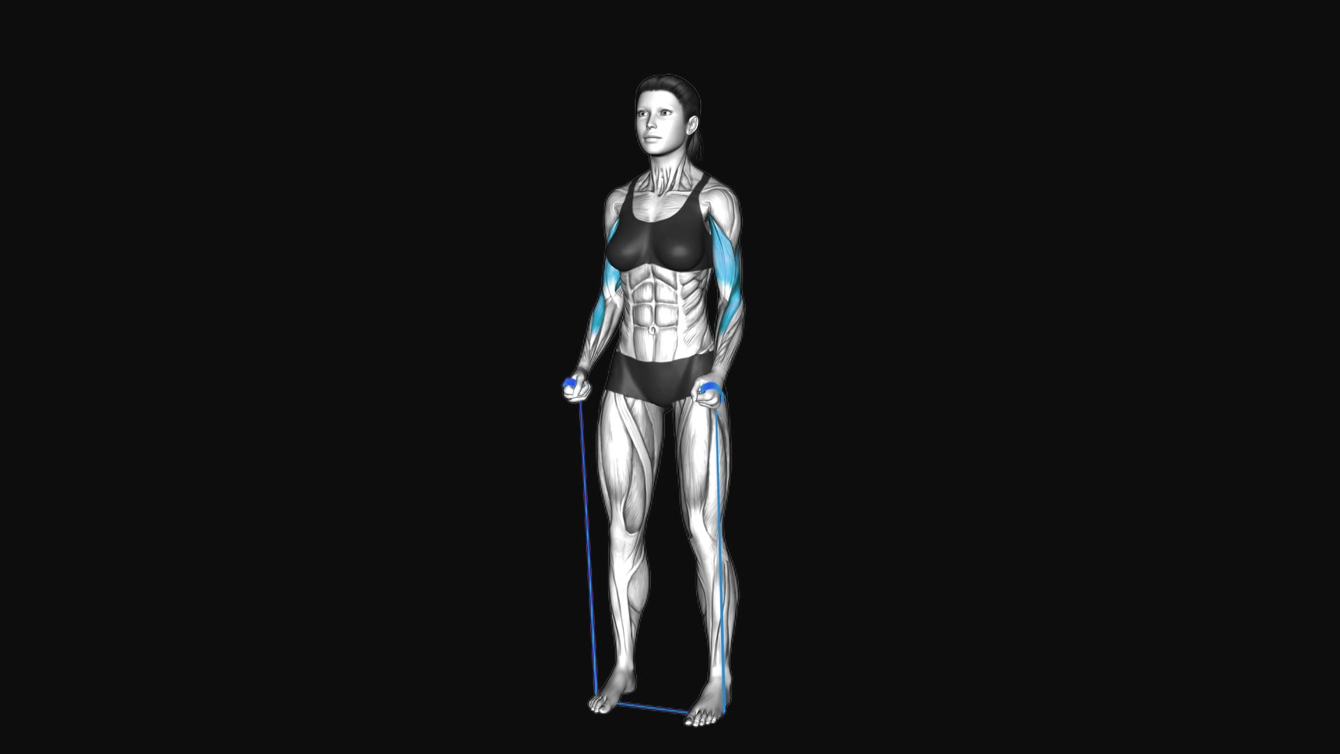 Resistance Band Hammer Curl