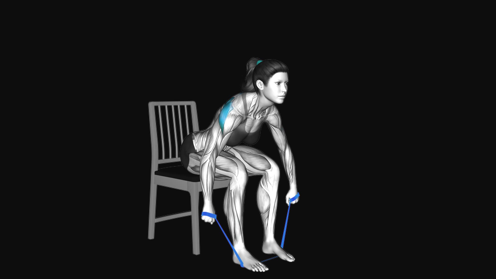 Resistance Band Sitting Bent over Reverse Fly on a Chair