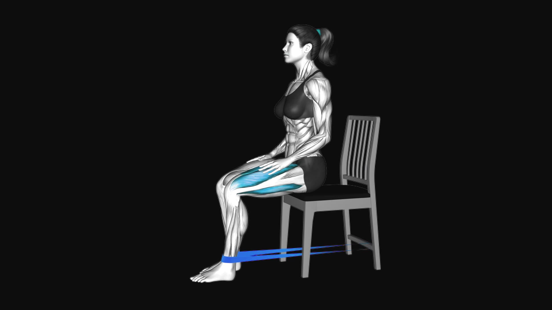 Resistance Band Sitting Knee Extension on a Chair